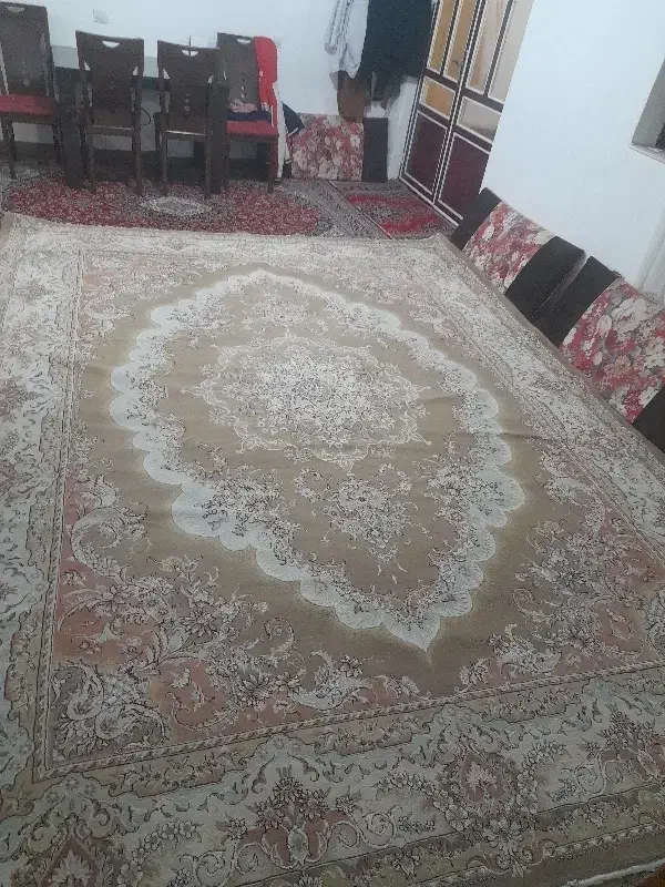 فرش ۱۲ متری سالم|فرش|فریدونکنار, |دیوار