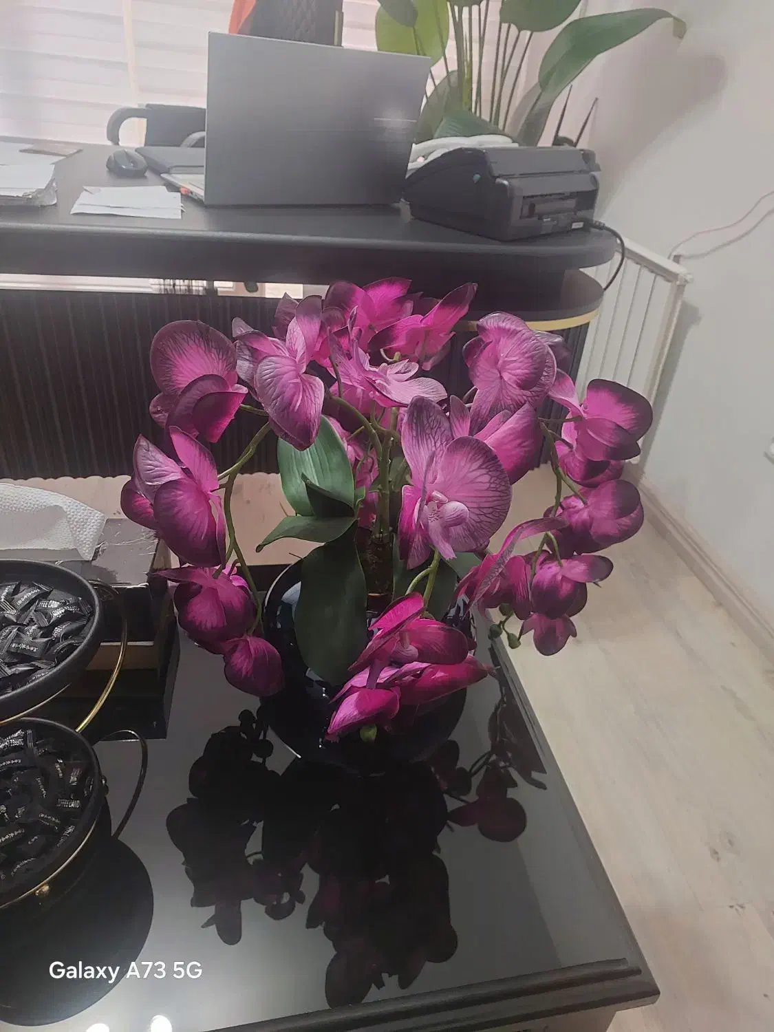 منشی|استخدام اداری و مدیریت|تهران, دبستان|دیوار