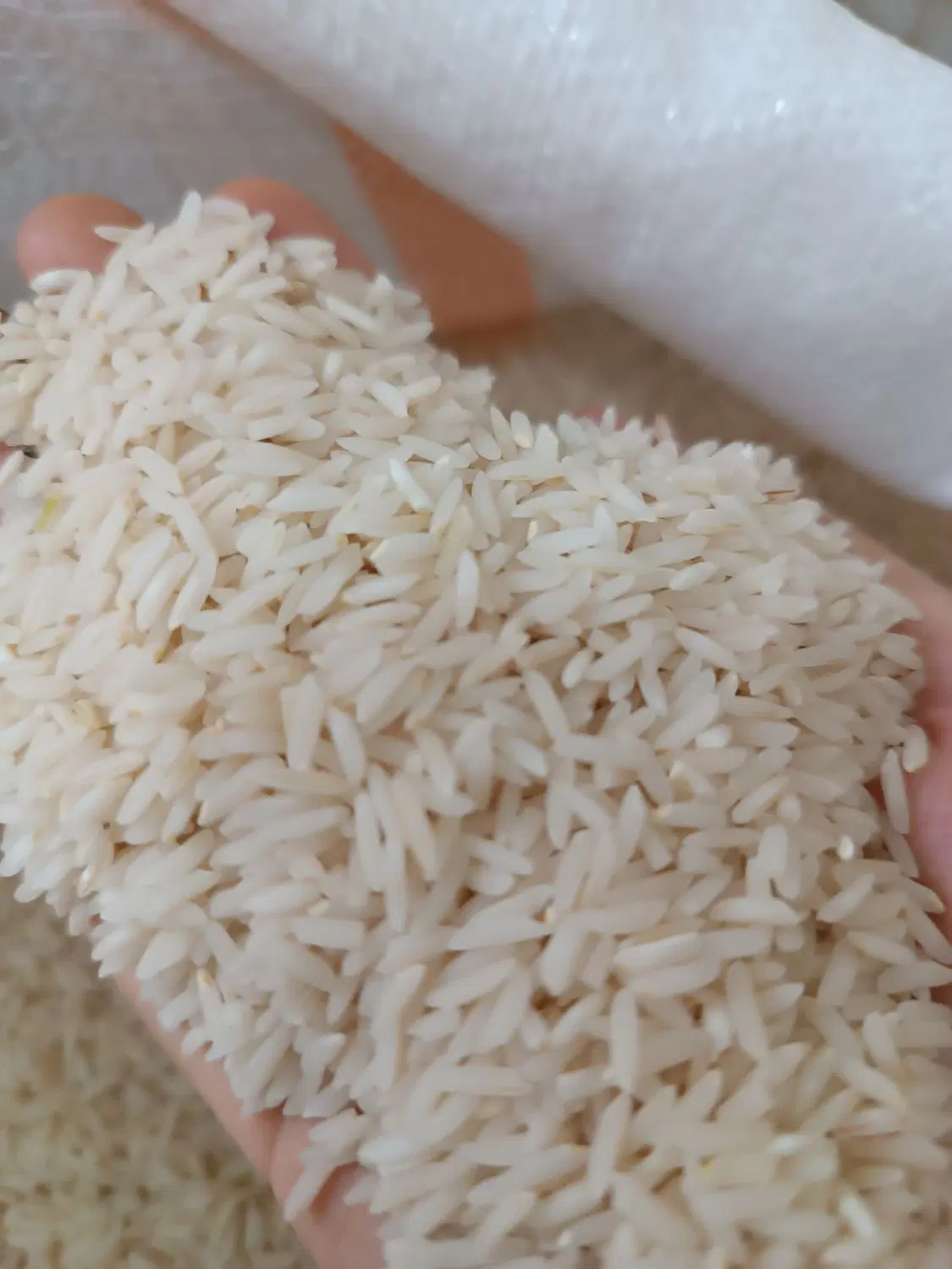 برنج|خوردنی و آشامیدنی|گمیشان, |دیوار