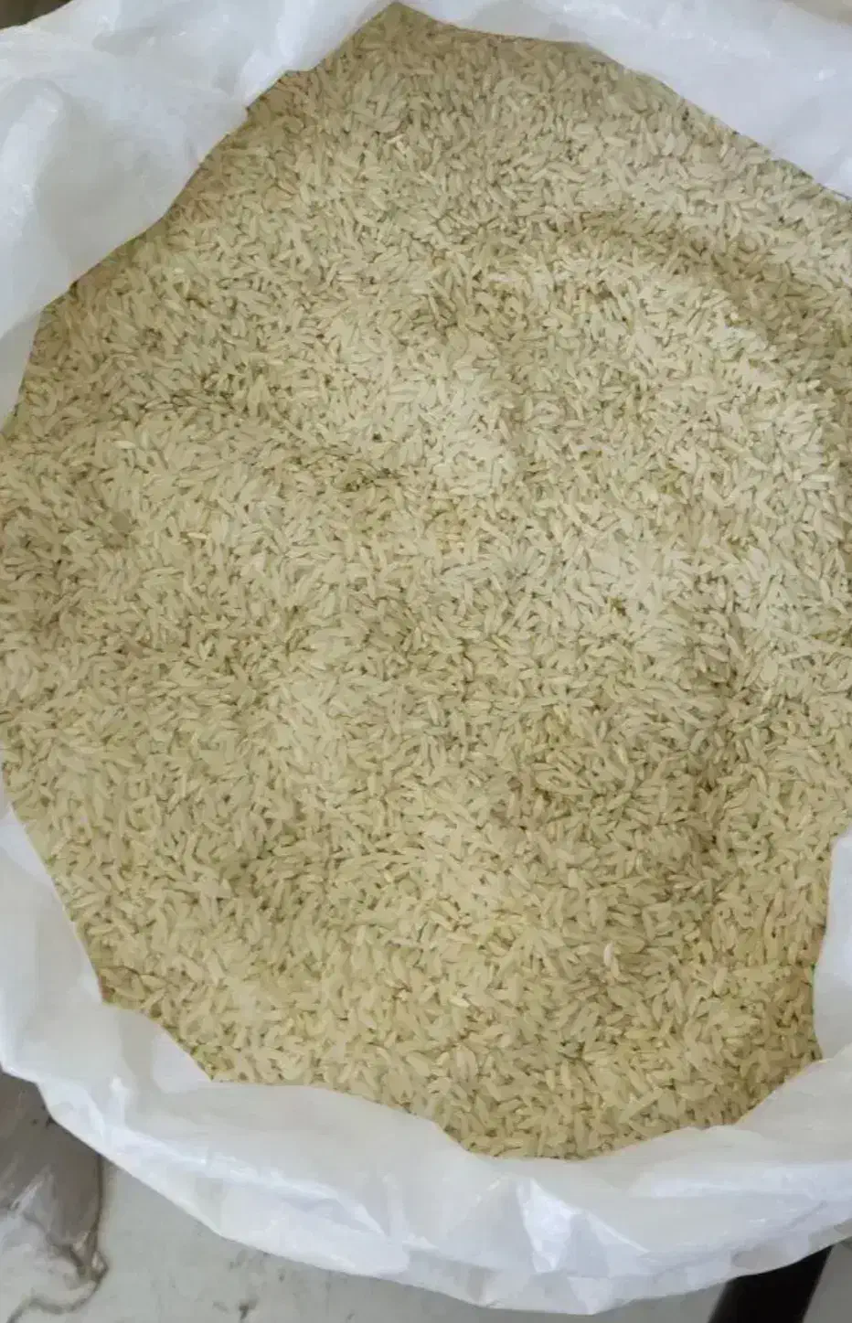 برنج طارم هاشمی|عمده‌فروشی|بروجرد, |دیوار