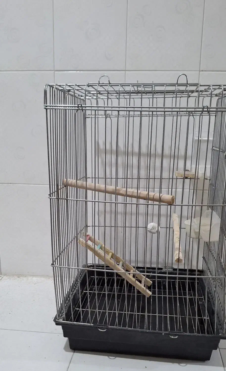 قفس|لوازم جانبی حیوانات|تهران, استخر|دیوار