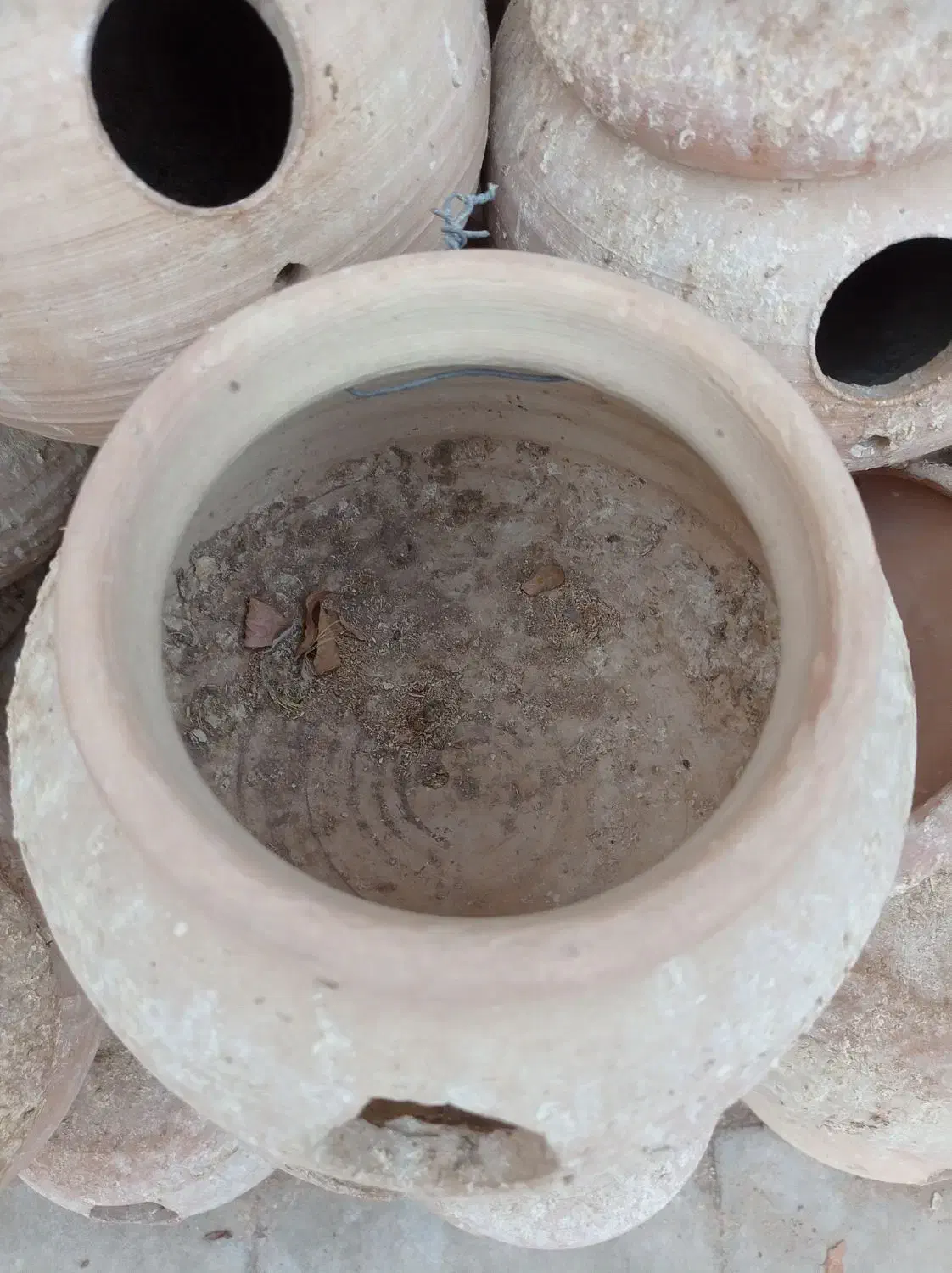 لونه پرنده|لوازم جانبی حیوانات|کرمان, |دیوار