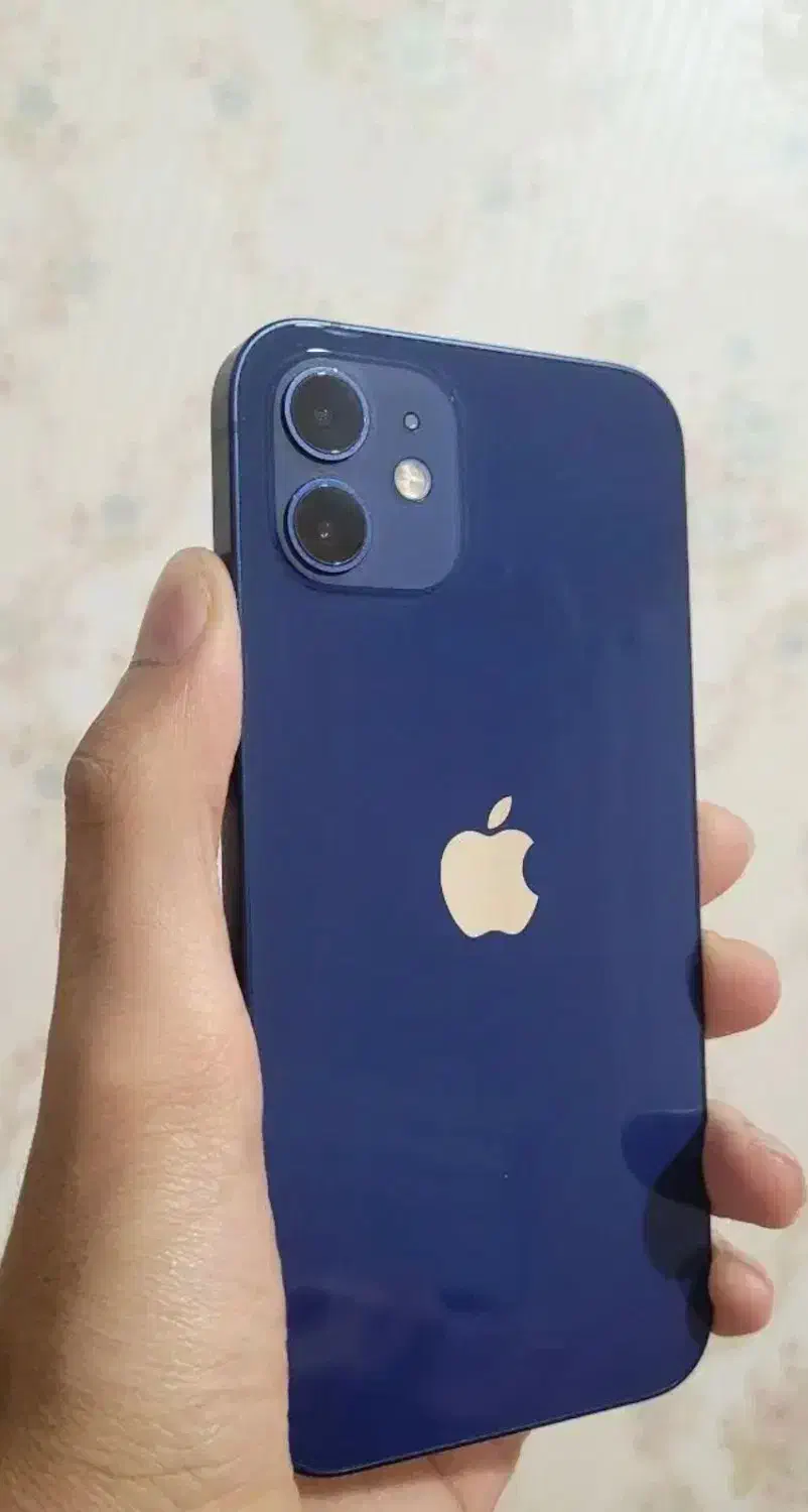 iPhone 12|موبایل|مشهد, تربیت (صدف)|دیوار