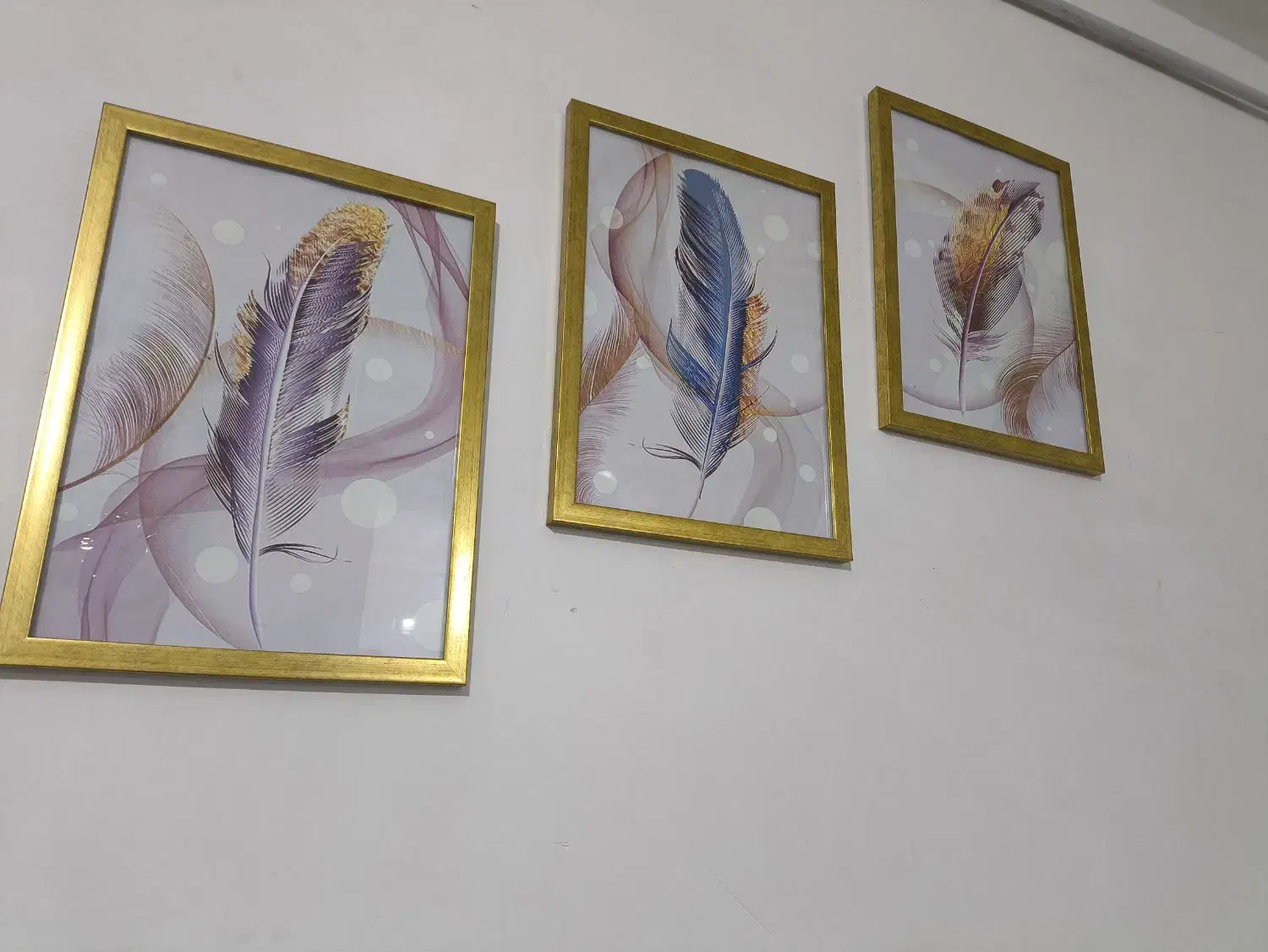 تابلو طرح پر|تابلو، نقاشی، عکس|گنبد کاووس, |دیوار