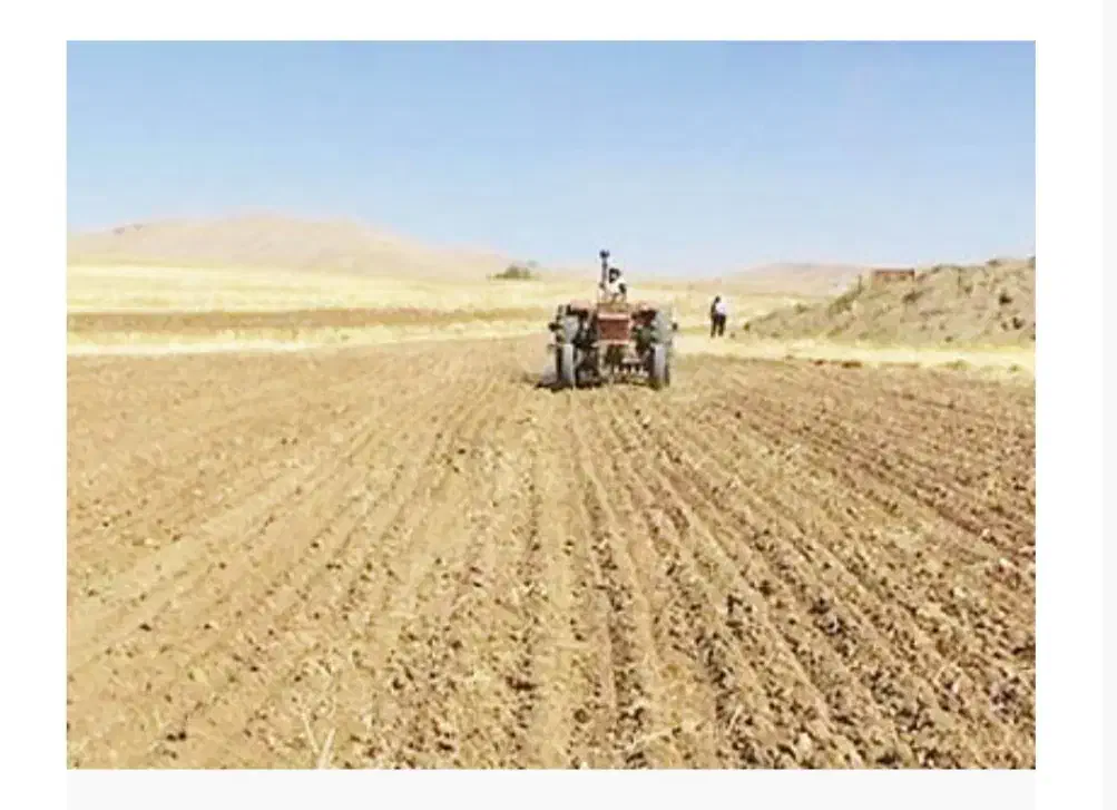 زمین کشاورزی واقع دردهستان صلوات ششصد میلیون تومان|فروش زمین و ملک کلنگی|مرادلو, |دیوار