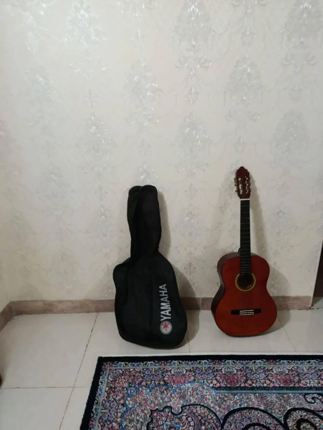 گیتار اسپانیایی سالم|گیتار، بیس، امپلیفایر|ری, شهادت|دیوار