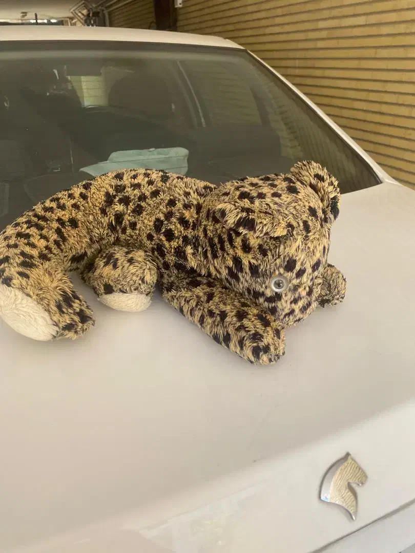 ببر پارچه ای خارجی زیبا|اسباببازی بچه|قزوین, |دیوار