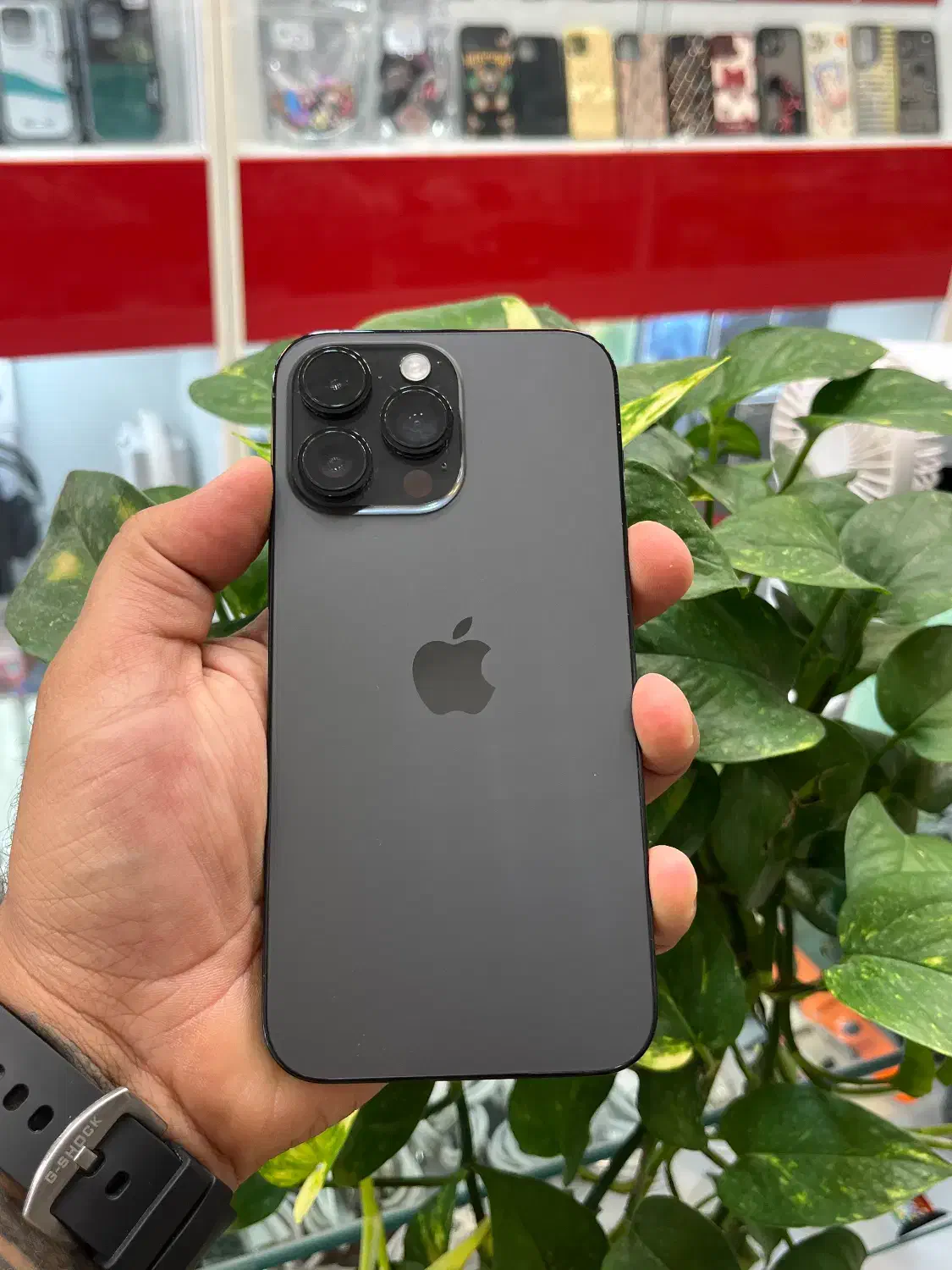 Iphone 14promax|موبایل|شیراز, گود عربان|دیوار