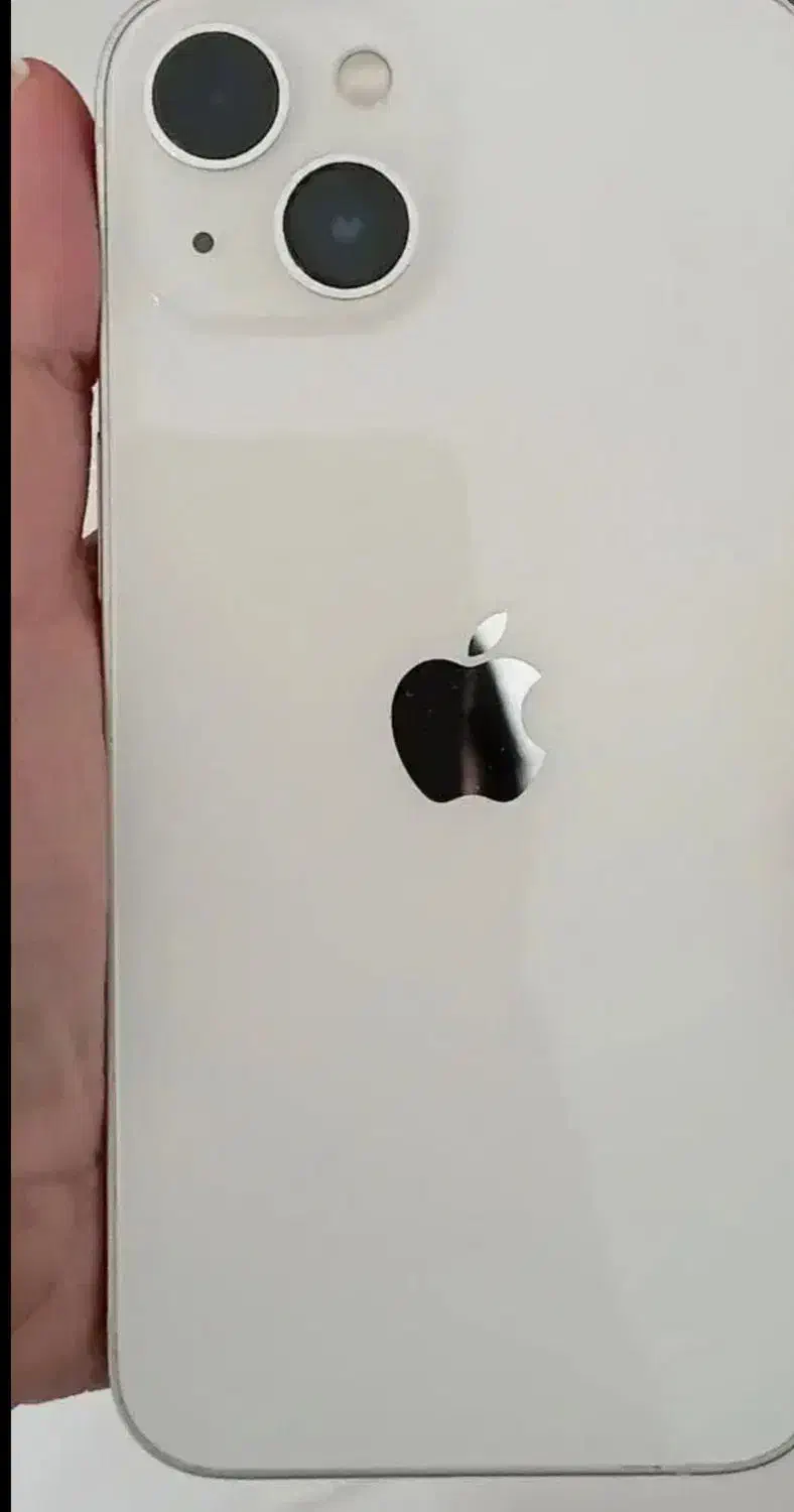 آیفون ۱۳نرمال (در حد نو)|موبایل|شیراز, فرهنگ شهر|دیوار