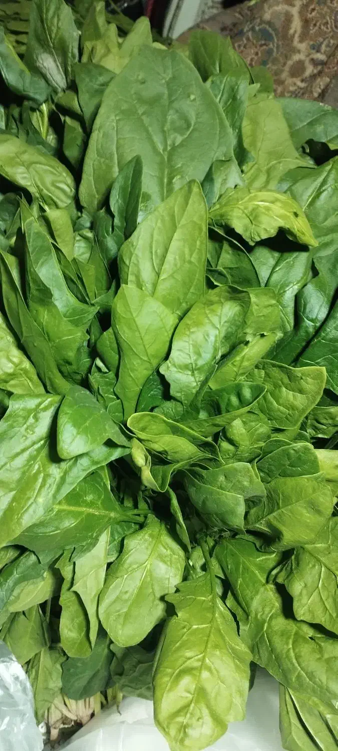 سبزی خورشی و اسفناج میدان بسیج ساعت 4|خوردنی و آشامیدنی|بم, |دیوار