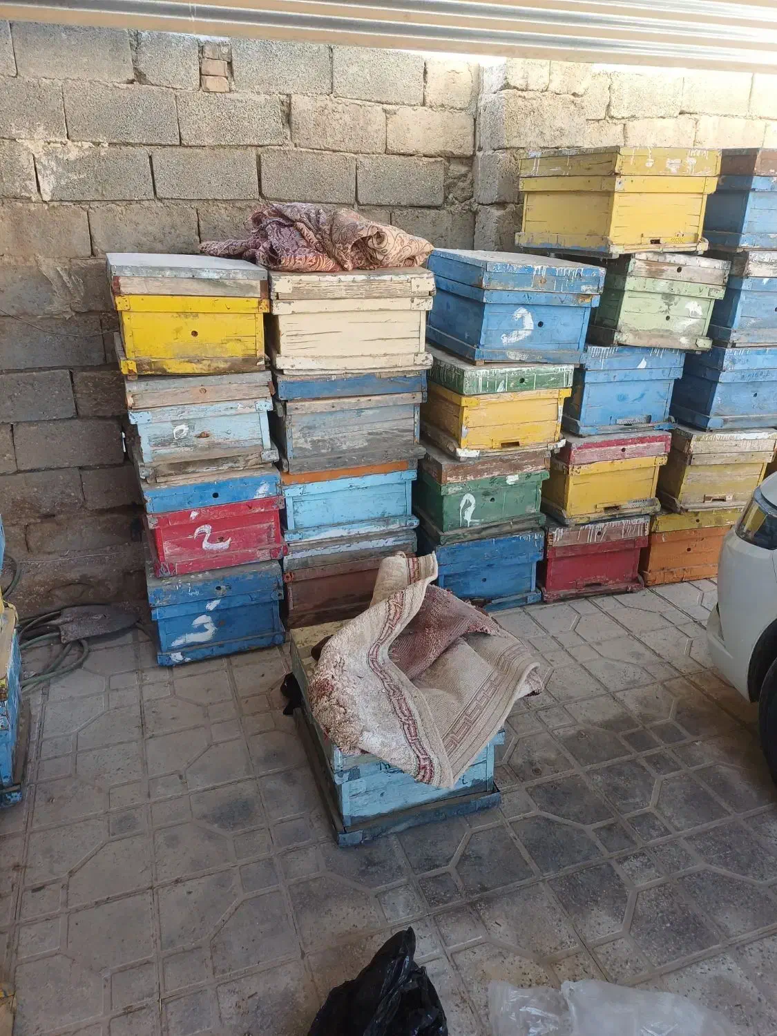 کندو زنبور عسل با قاب|حیوانات مزرعه|قیروکارزین, |دیوار