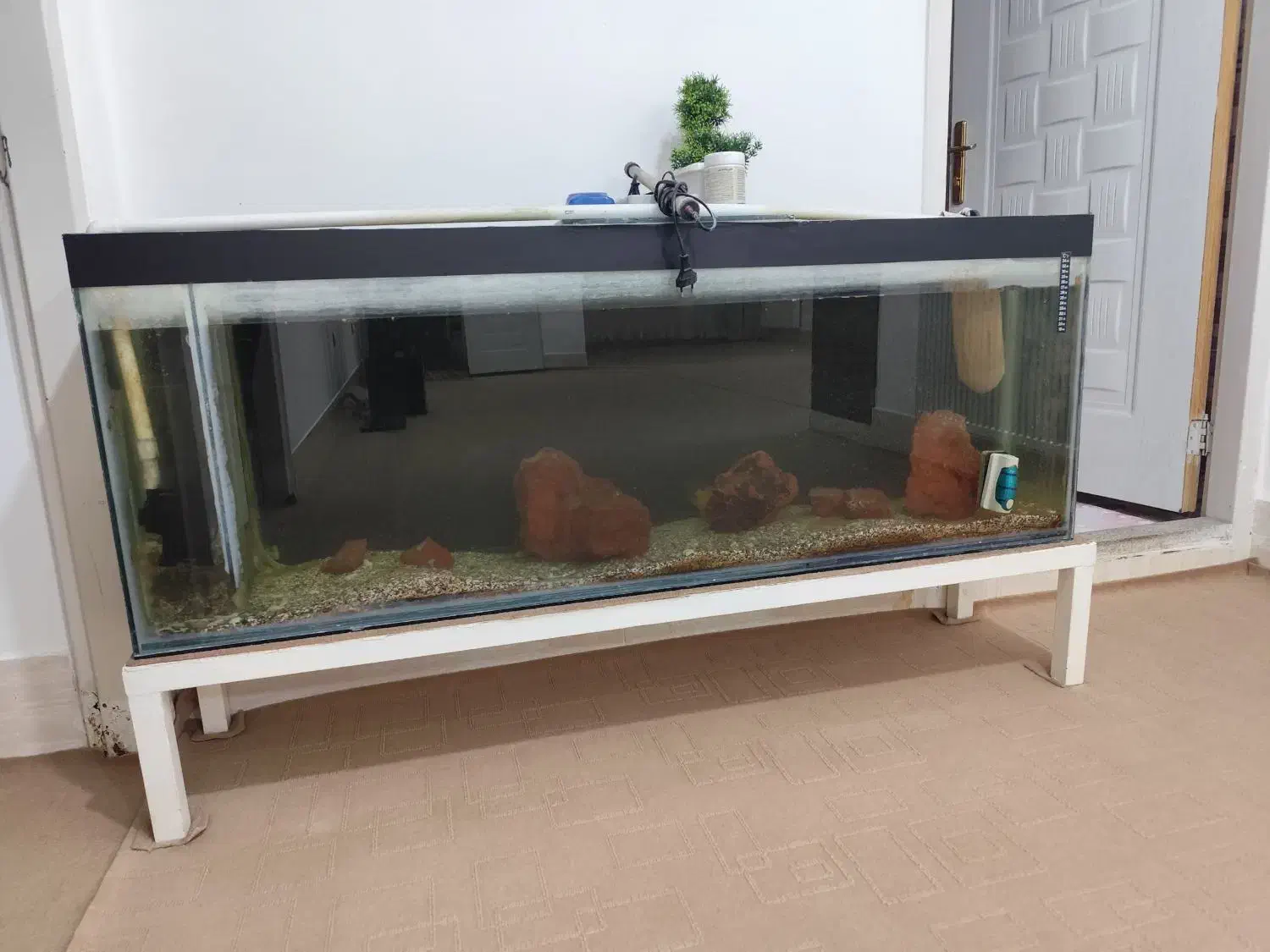 اکواریوم|ماهی|زاهدان, |دیوار