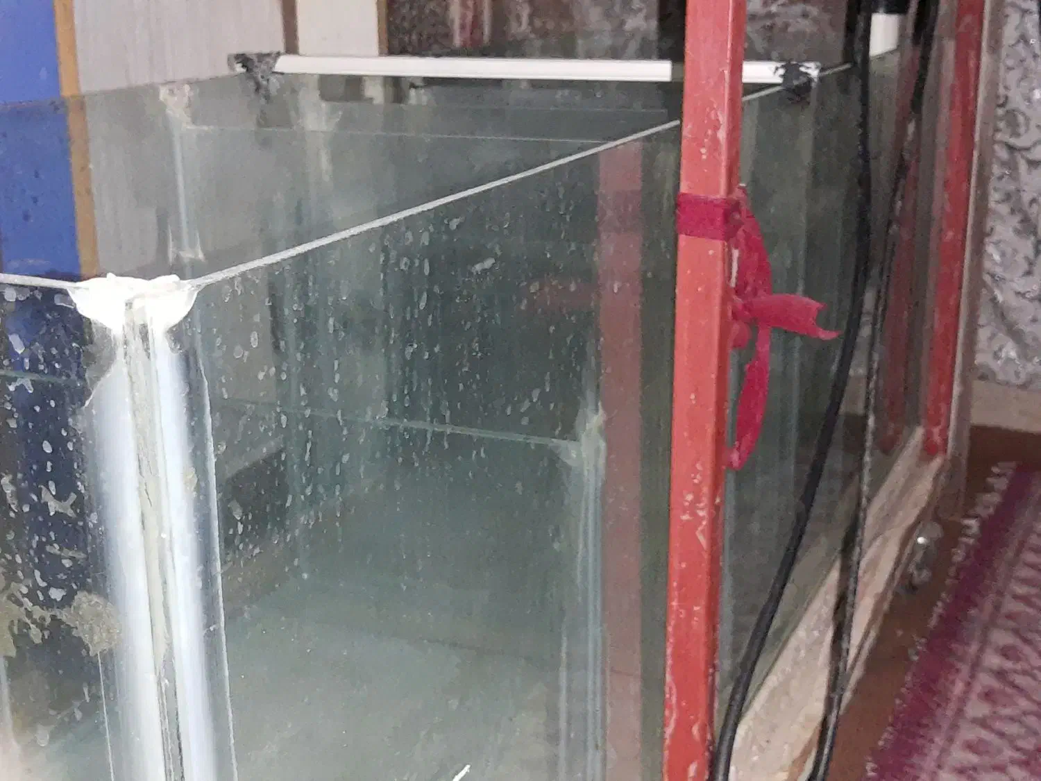 اکواریوم|ماهی|زاهدان, |دیوار