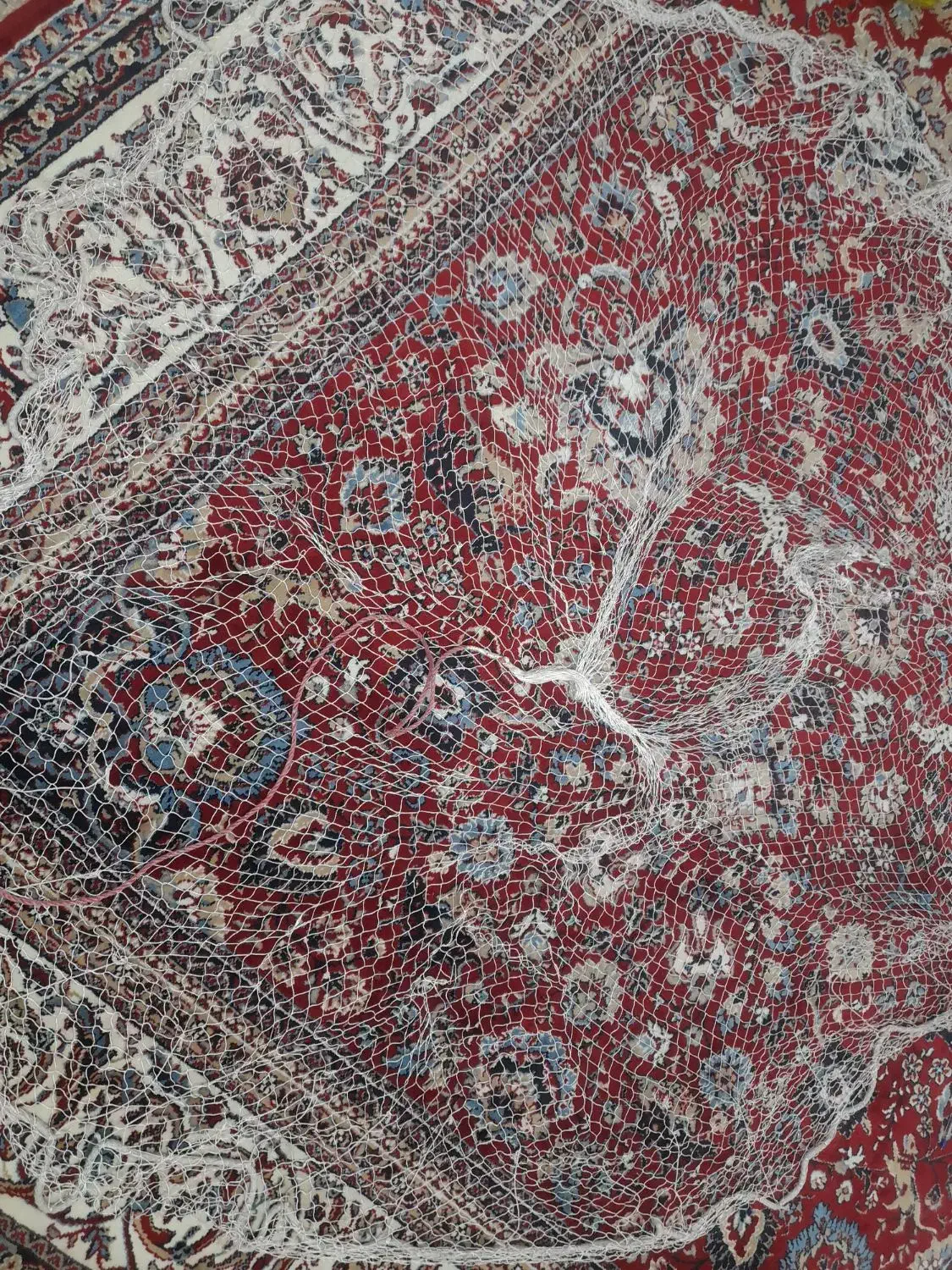 تور پرتابی نخی|ماهیگیری|شوشتر, |دیوار