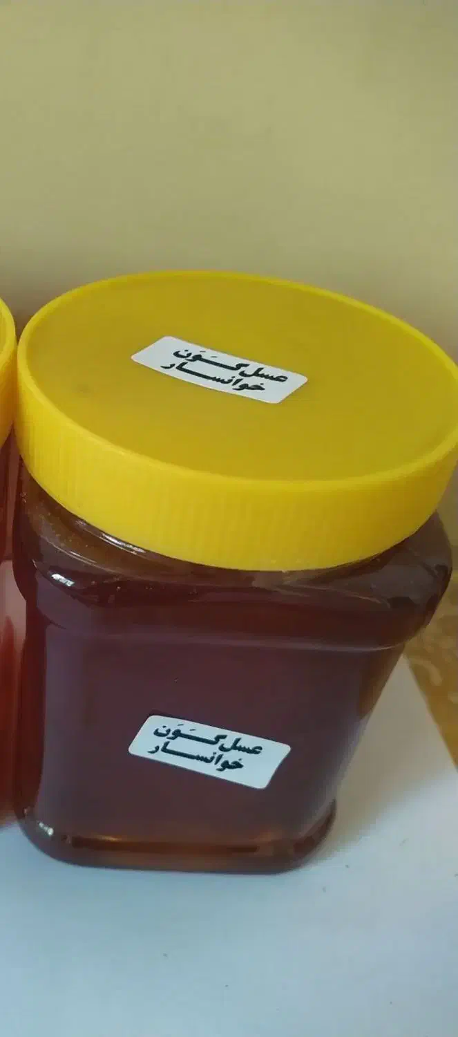 عسل کاملا طبیعی همراه برگه آزمایش|خوردنی و آشامیدنی|تهران, امام زاده عبدالله|دیوار