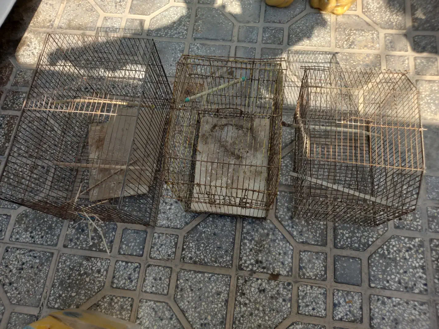 قفس|لوازم جانبی حیوانات|بوشهر, |دیوار