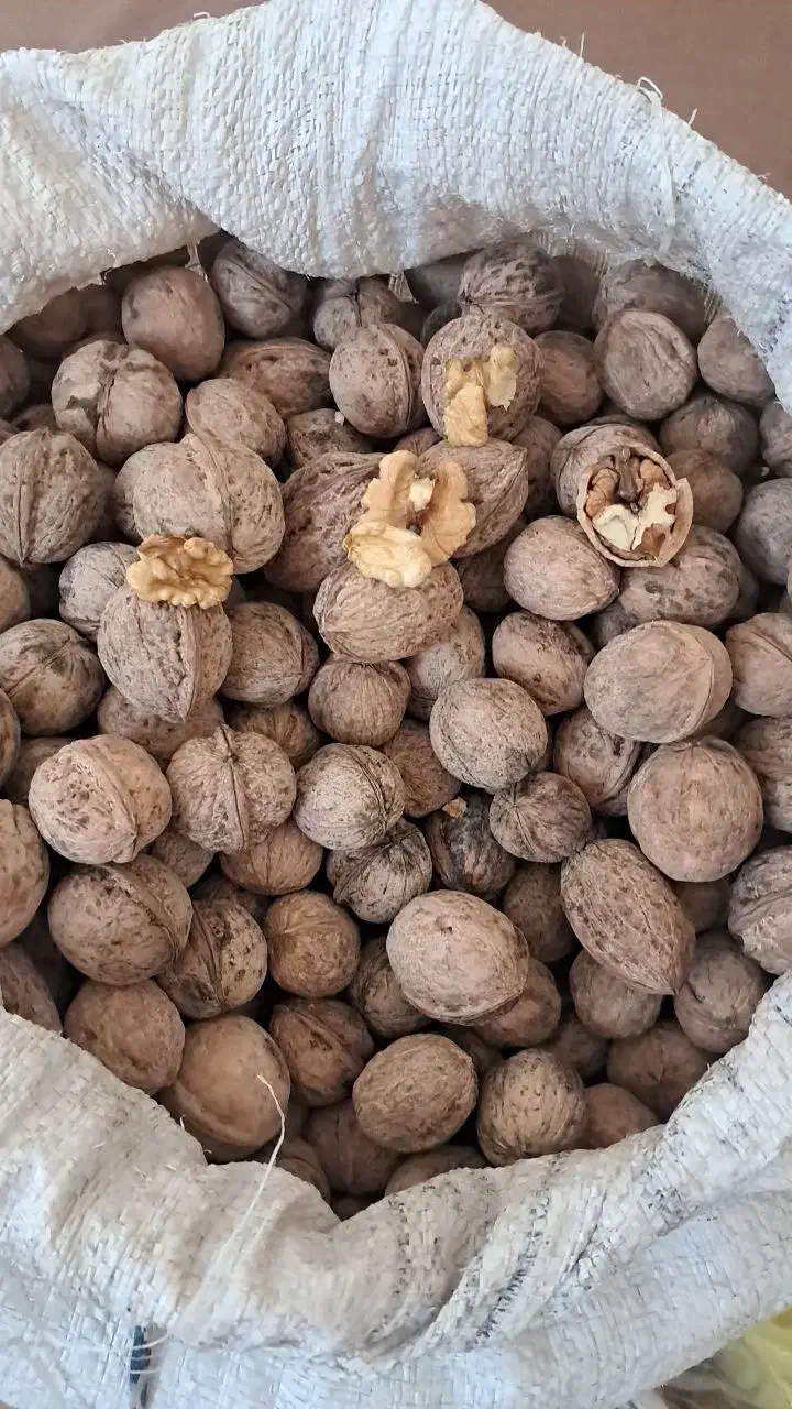 گردو و بادام تحویل درب منزل|خوردنی و آشامیدنی|شاهین‌شهر, شهرک گلدیس|دیوار