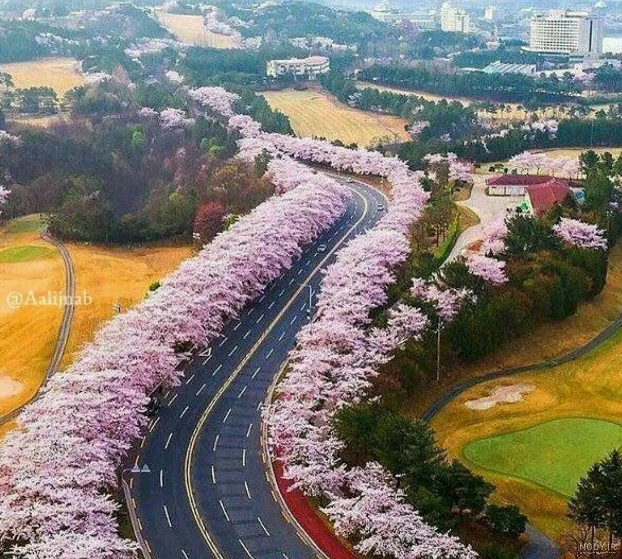 کارمند بانک|فعالیت داوطلبانه تحقیقاتی|اهواز, ۲۴ متری|دیوار