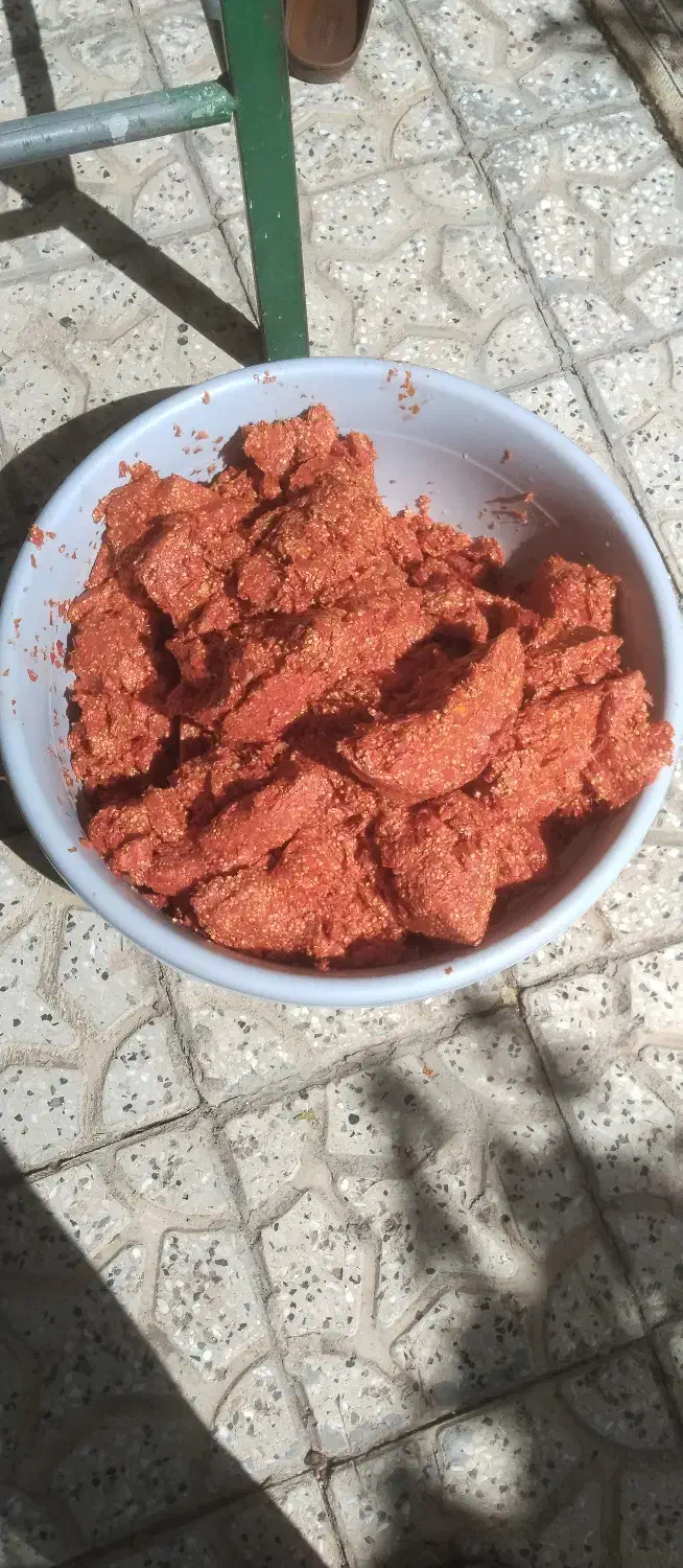 رب آبگیری گوجه فرنگی و انگور آب گوجه ابگوجه|خدمات پیشه و مهارت|همدان, |دیوار