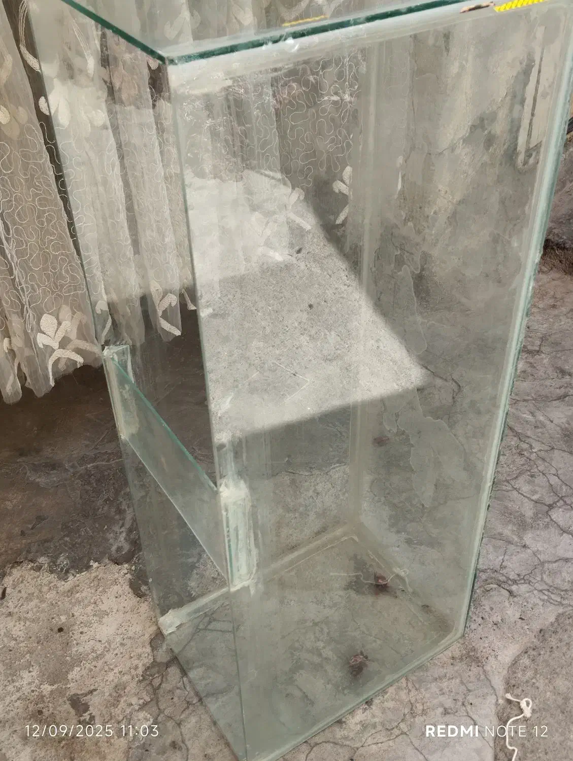 آکواریوم 1 متری|ماهی|تبریز, |دیوار