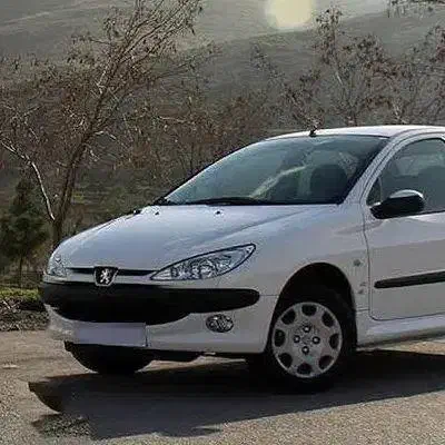 ۲۰۶ SD|خودرو سواری و وانت|کرمان, |دیوار