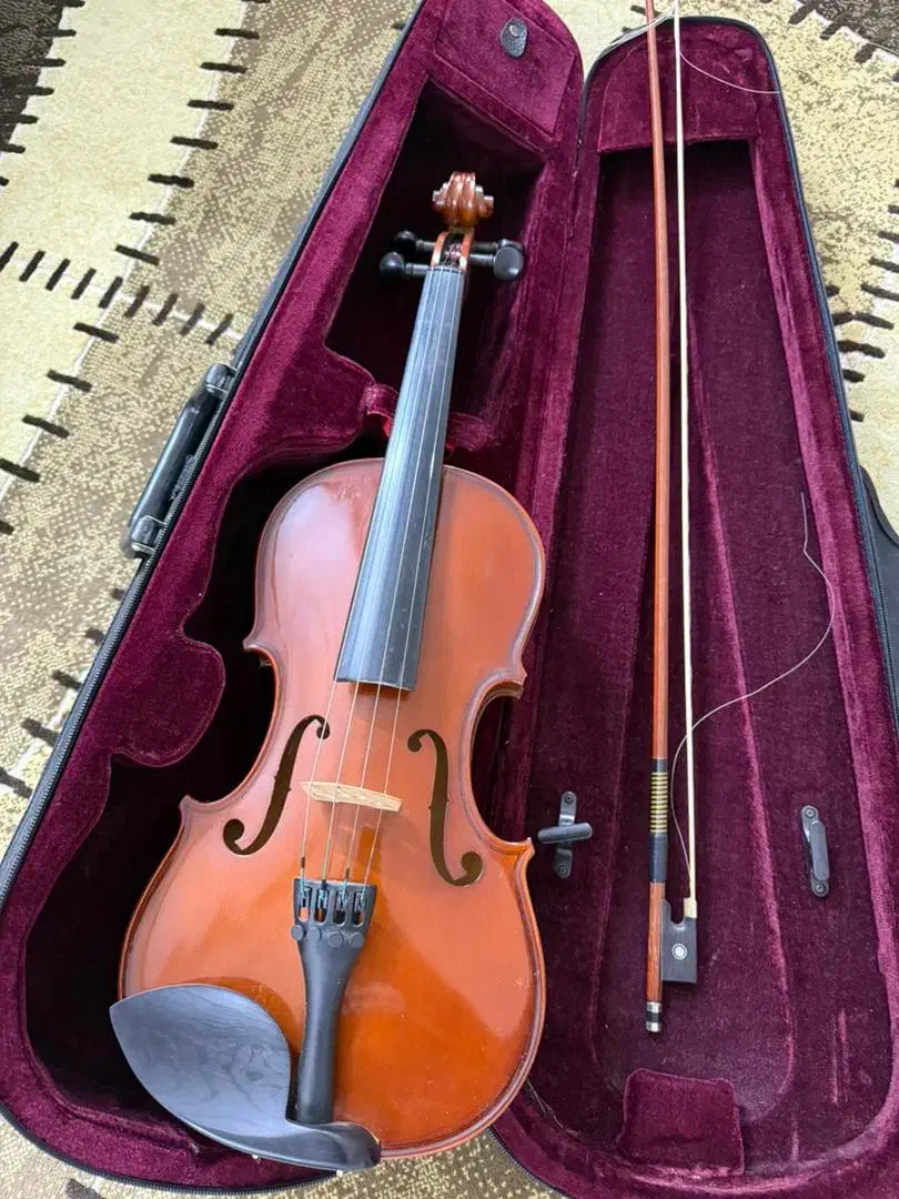 ویولن هافنر حرفه ای|ویولن|بوشهر, |دیوار