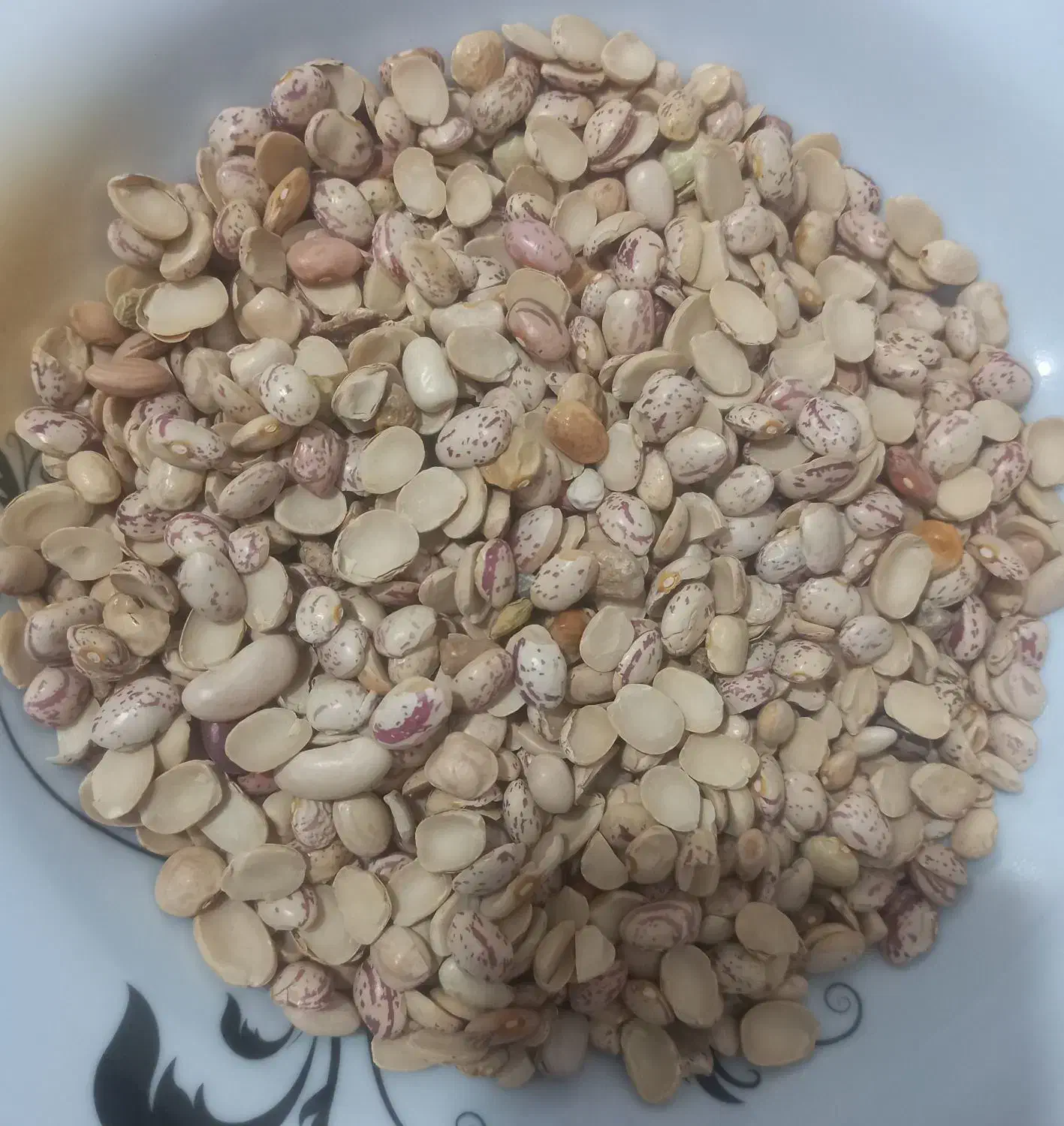 حبوبات لوبیا چیتی|خوردنی و آشامیدنی|مرودشت, فاز اول شهرک فرهنگیان|دیوار