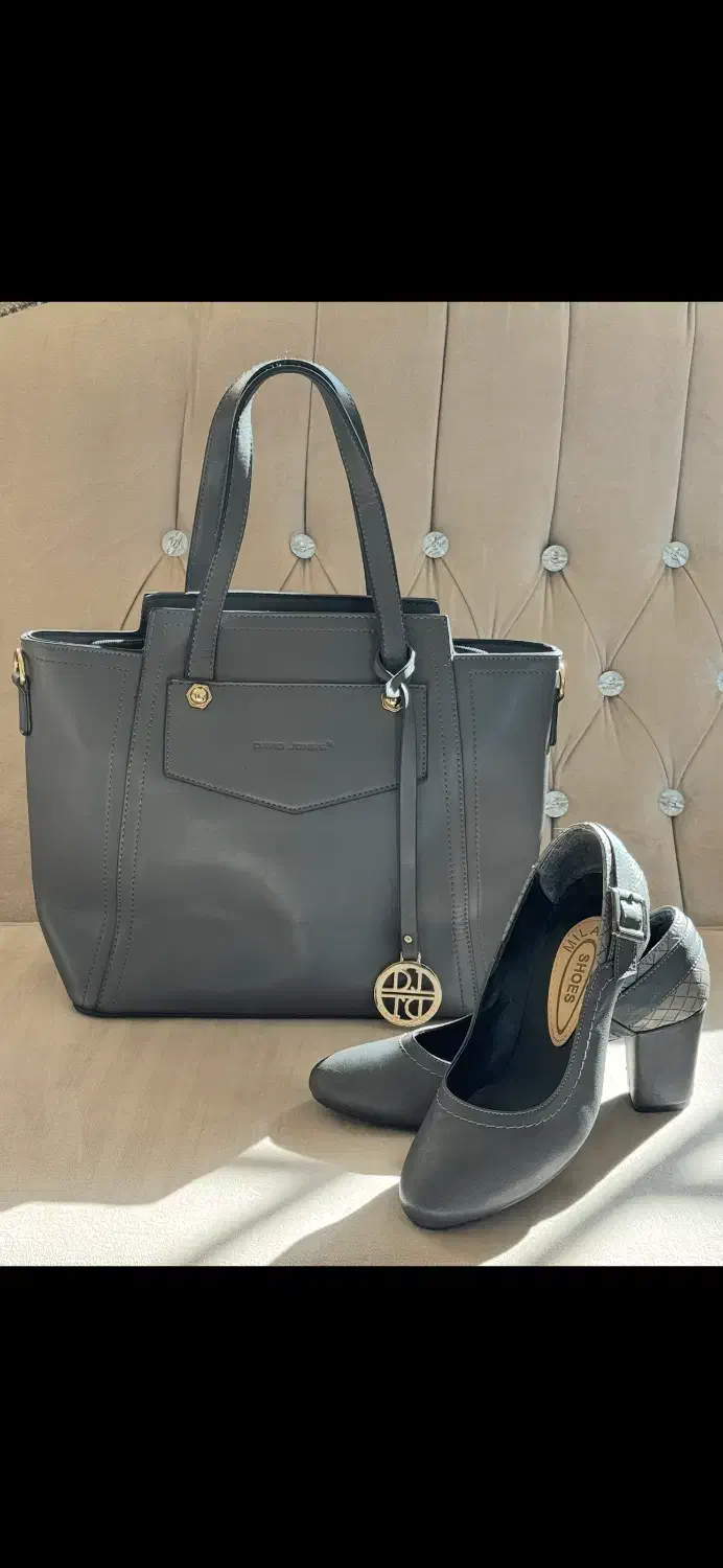 کیف و کفش ست دیوید جونز اصل|کیف، کفش، کمربند|مشهد, امامیه (شهرک غرب)|دیوار