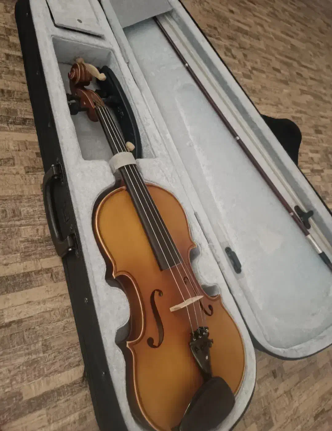 ویالون TF142 4/4|ویولن|شیراز, دشت چنار|دیوار