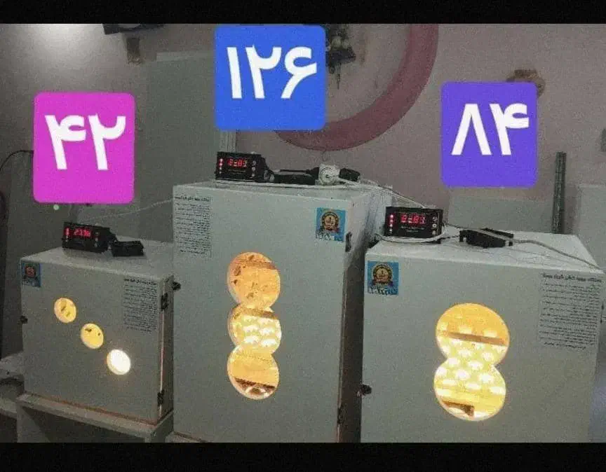 عرضه دستگاه سازگار 10نوع تخم برای جوجه کشی|لوازم جانبی حیوانات|رشت, پل تالشان|دیوار