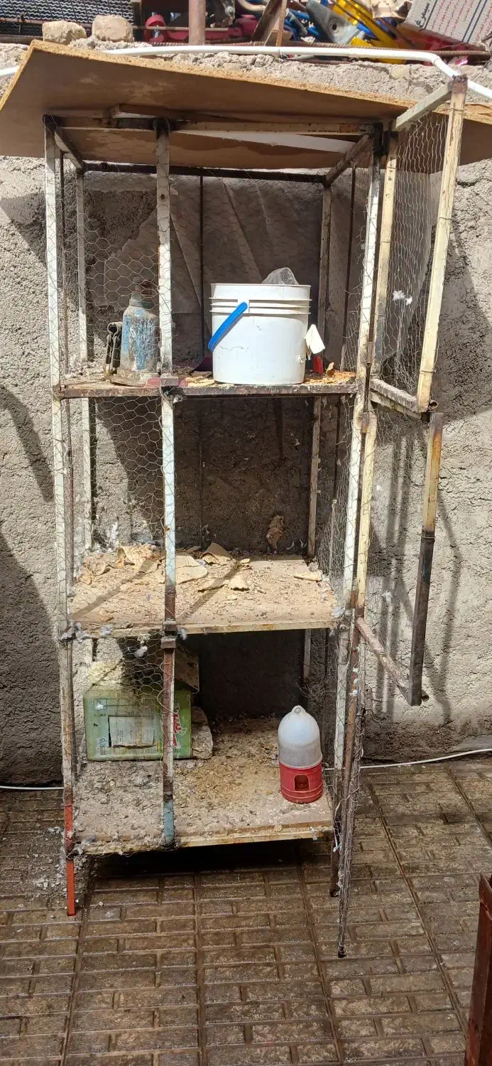 قفس جفت کن|لوازم جانبی حیوانات|کرمان, |دیوار