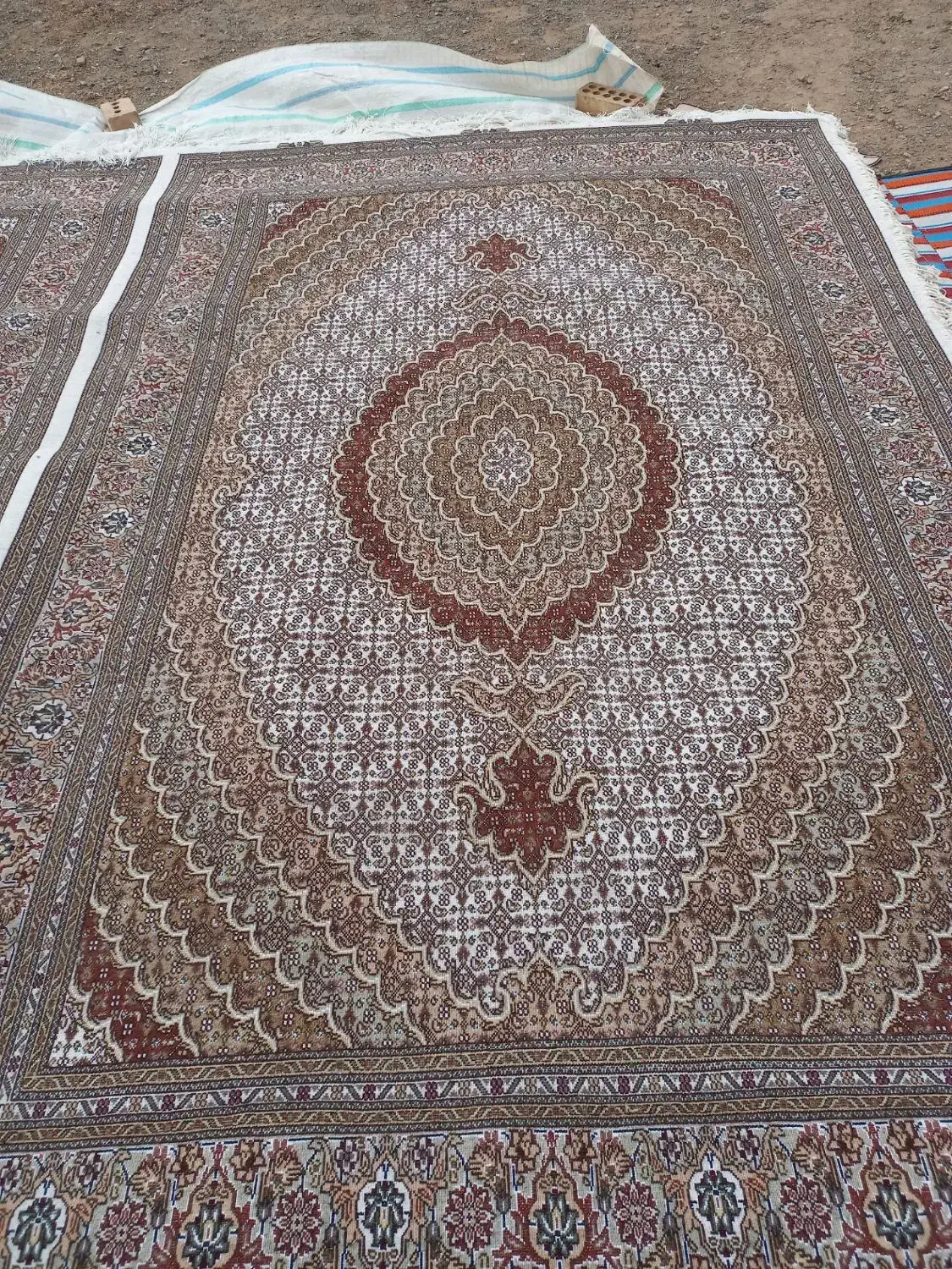 فرش۱۲متری ۴۰رج ۱۳مدی|فرش|خوی, |دیوار