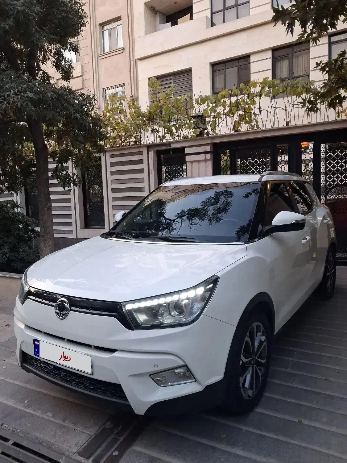 بی نظیرترین تیوولی فول|خودرو سواری و وانت|تهران, چوب تراش|دیوار