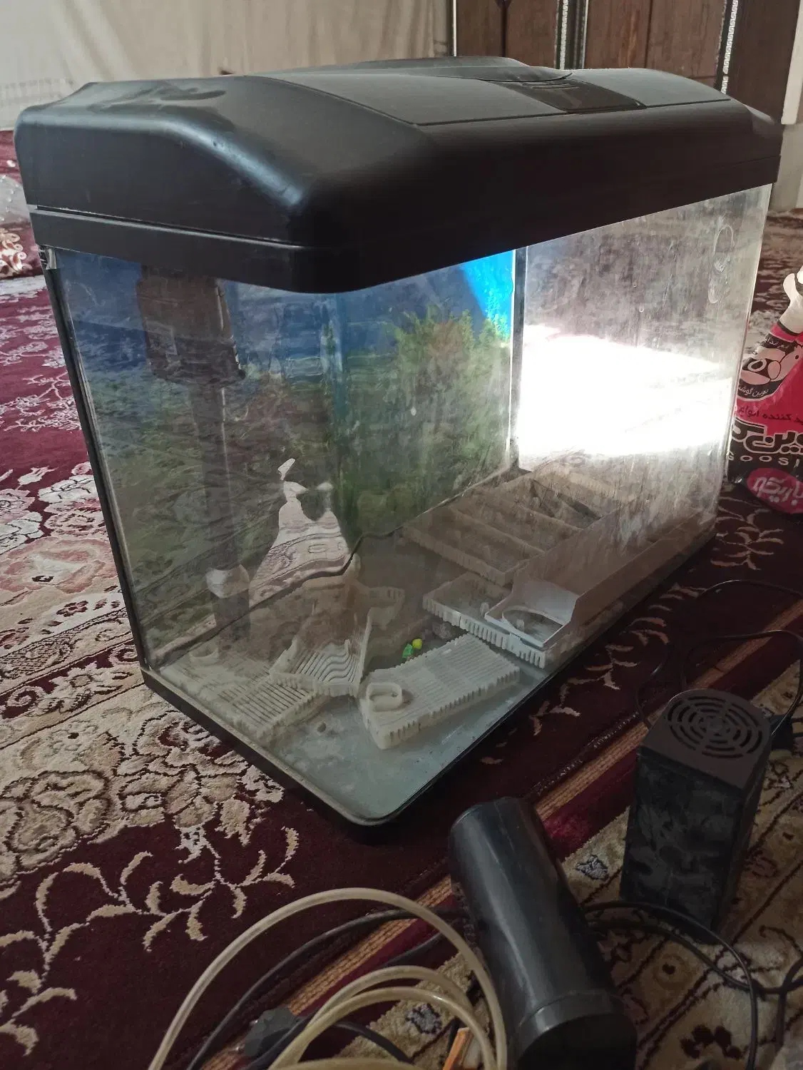 اکواریوم|ماهی|اصفهان, شفق|دیوار