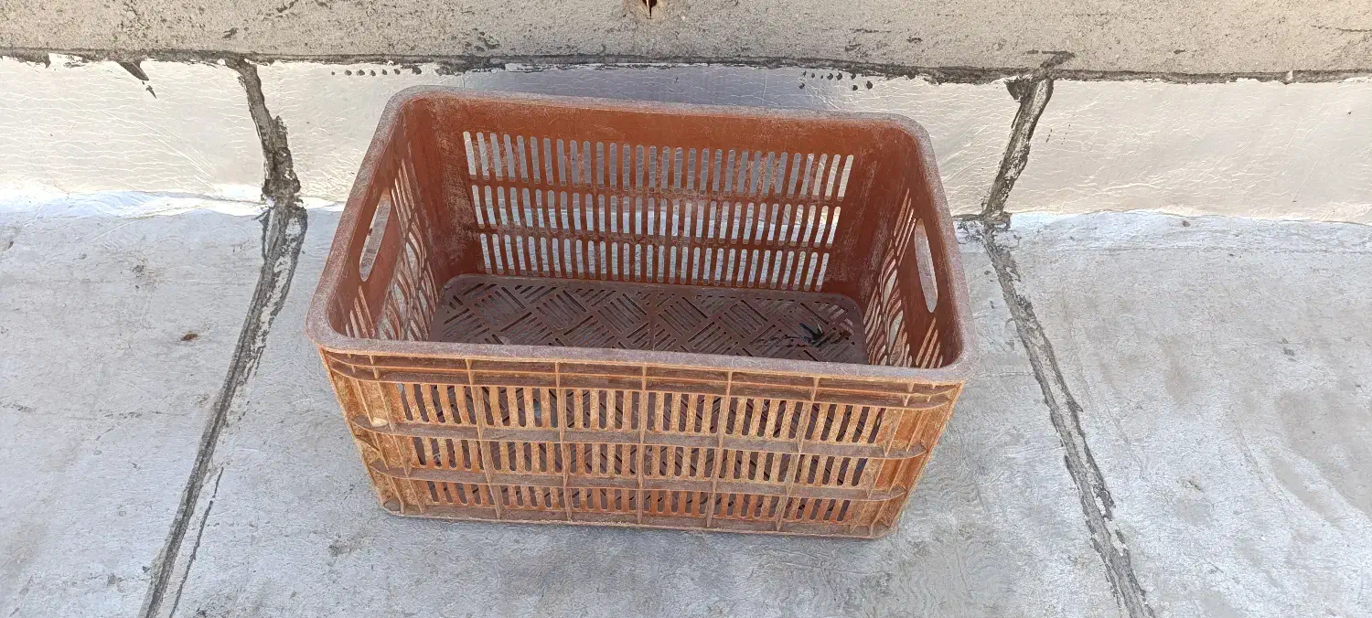 سبدهای 25کیلویی|ظروف نگهدارنده، پلاستیکی، یکبارمصرف|اسفرورین, |دیوار