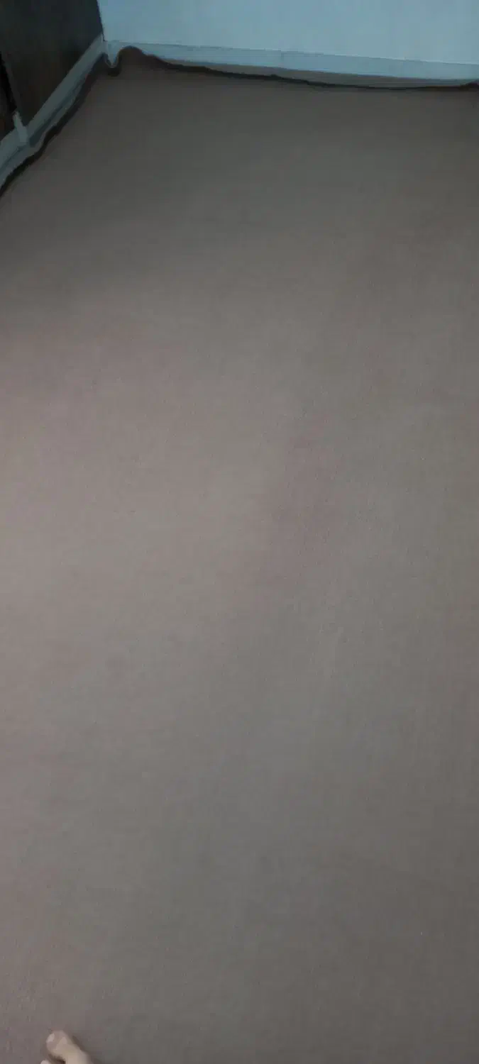 یه عدد موکت قهوه ای کبریتی رنگ  ۳/۴۷ × ۲/۴۱ سالم|فرش|گرگان, |دیوار