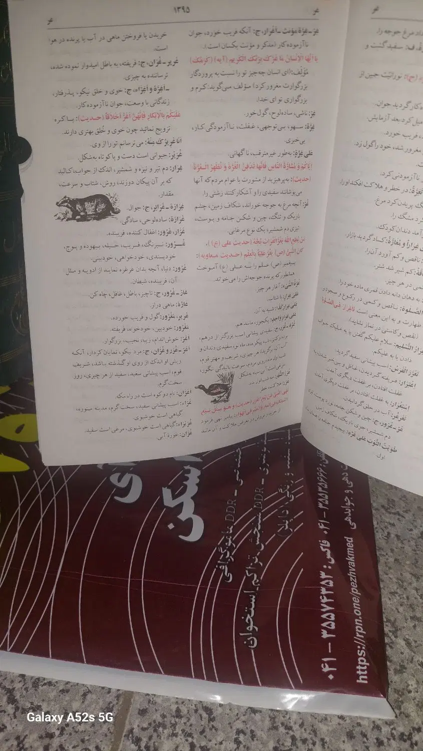 لغت نامه|کتاب و مجله ادبی|تبریز, |دیوار