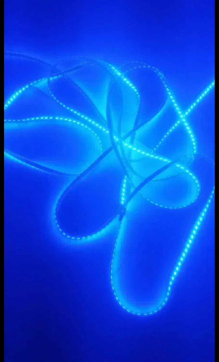 ریسه شلنگی نو|ریسه و چراغ تزئینی|اندیشه, شهرک مریم|دیوار