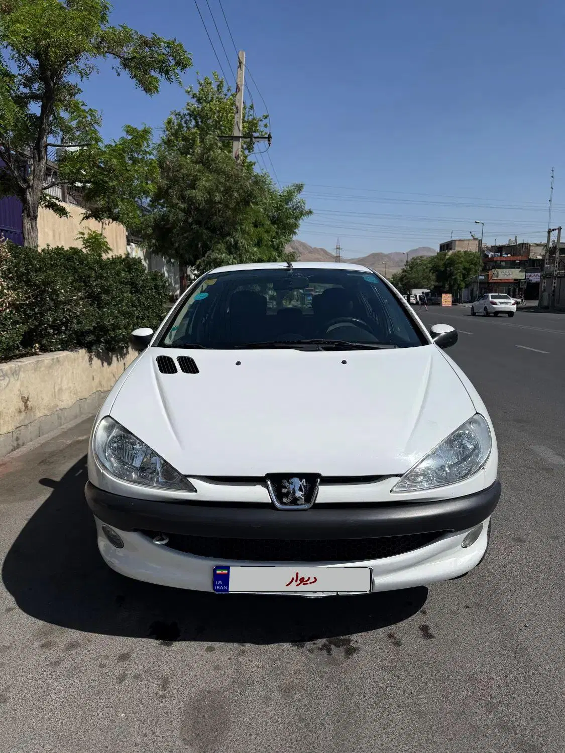206 SD V8|خودرو سواری و وانت|تهران, تهرانپارس شرقی|دیوار