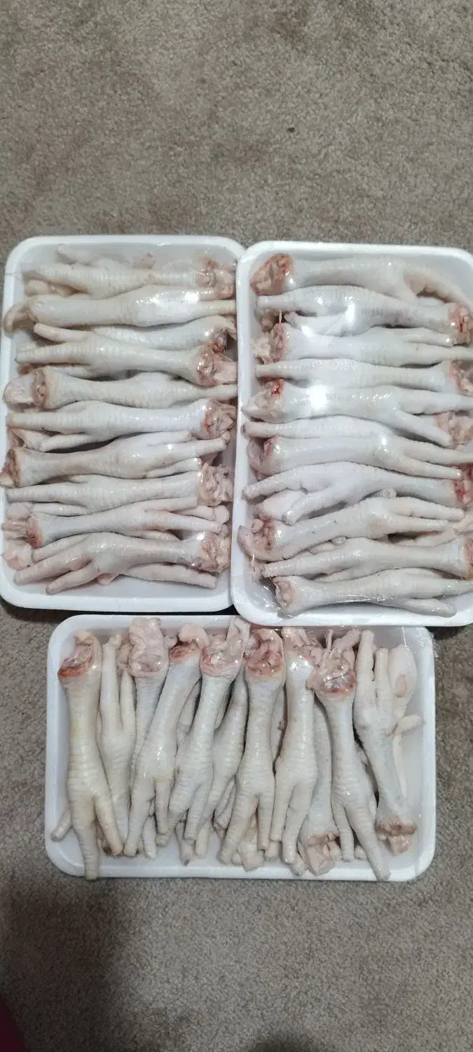 پای مرغ|خوردنی و آشامیدنی|چابهار, |دیوار