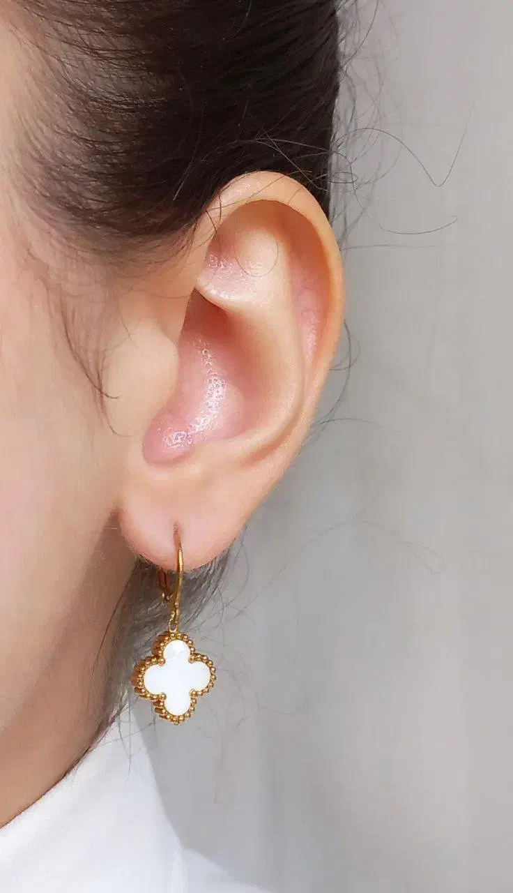 بدلجیات و اکسسوری|بدلیجات|جیرفت, |دیوار