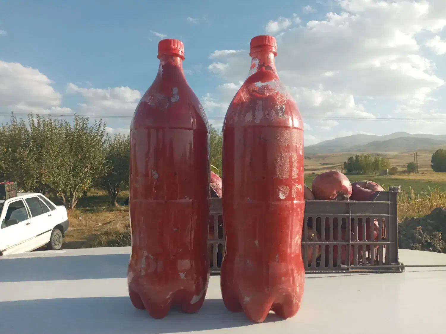 رب خانگی|خوردنی و آشامیدنی|مشگین شهر, |دیوار