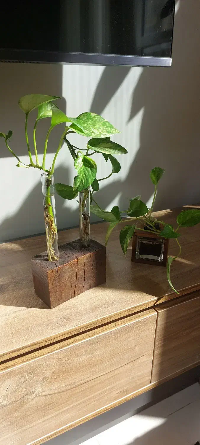 گلدون|صنایع دستی و سایر لوازم تزئینی|مشهد, چهارچشمه|دیوار