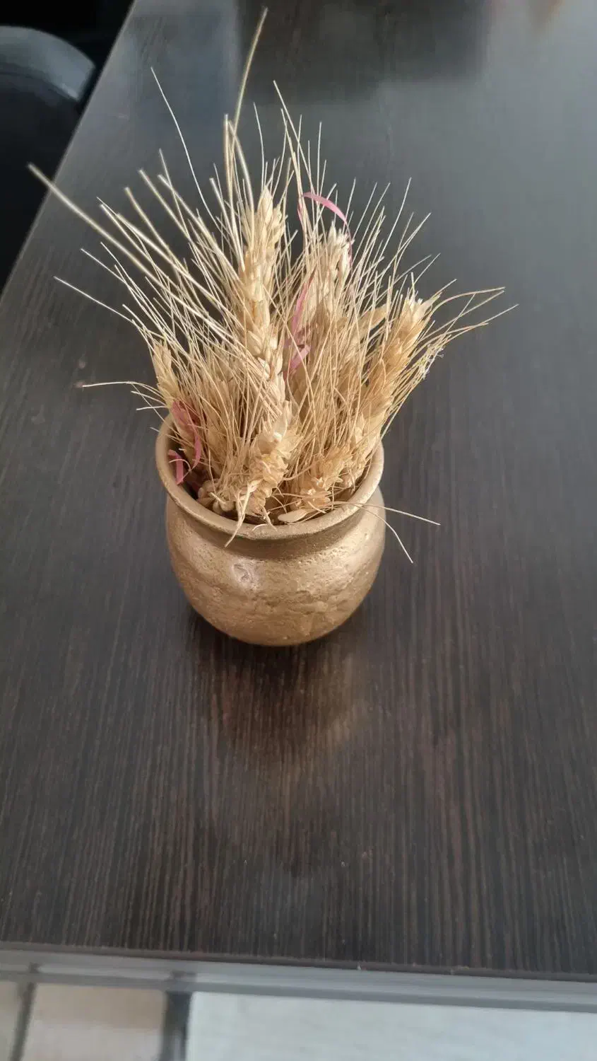 عکاس خانم شهرک آزادی|استخدام هنری و رسانه|تهران, شهرک آزادی|دیوار