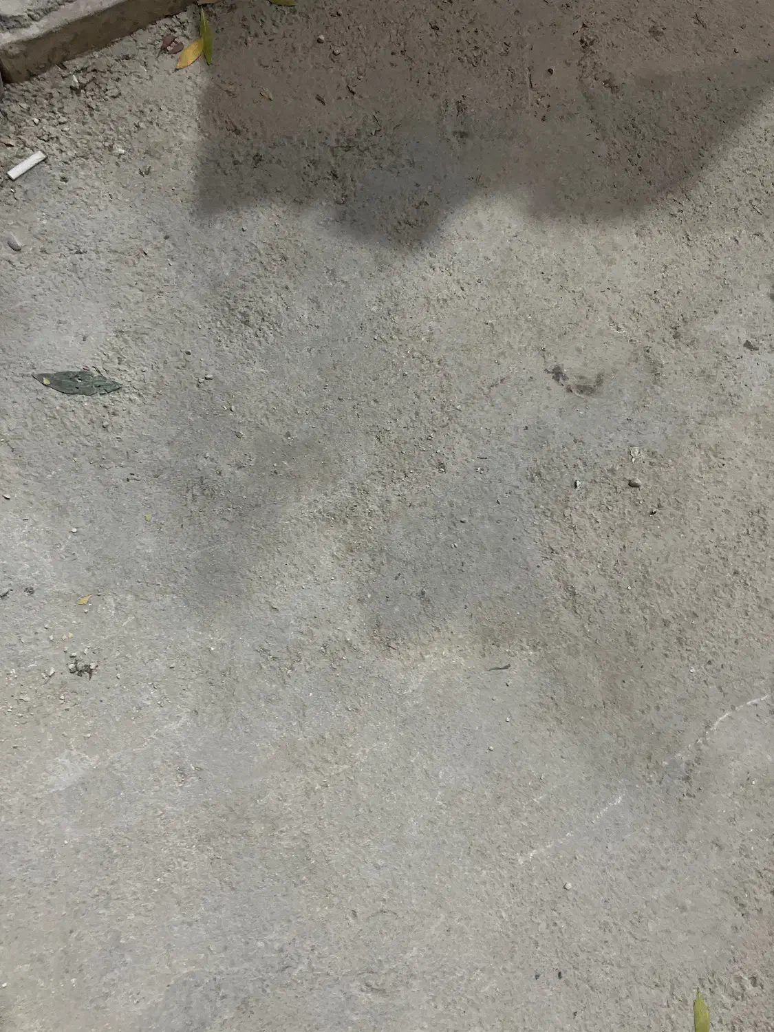 فروشنده افغانی|استخدام خدمات فروشگاه و رستوران|برازجان, |دیوار