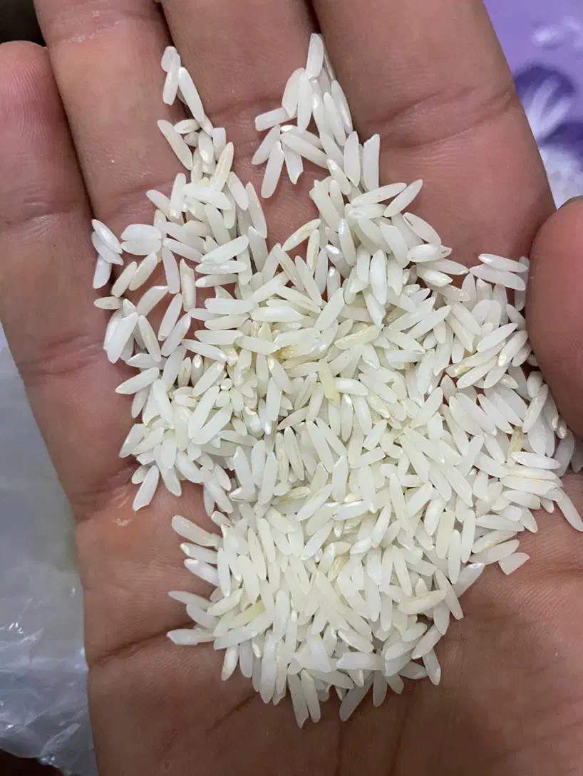 برنج هاشمی|خوردنی و آشامیدنی|سنگر, |دیوار