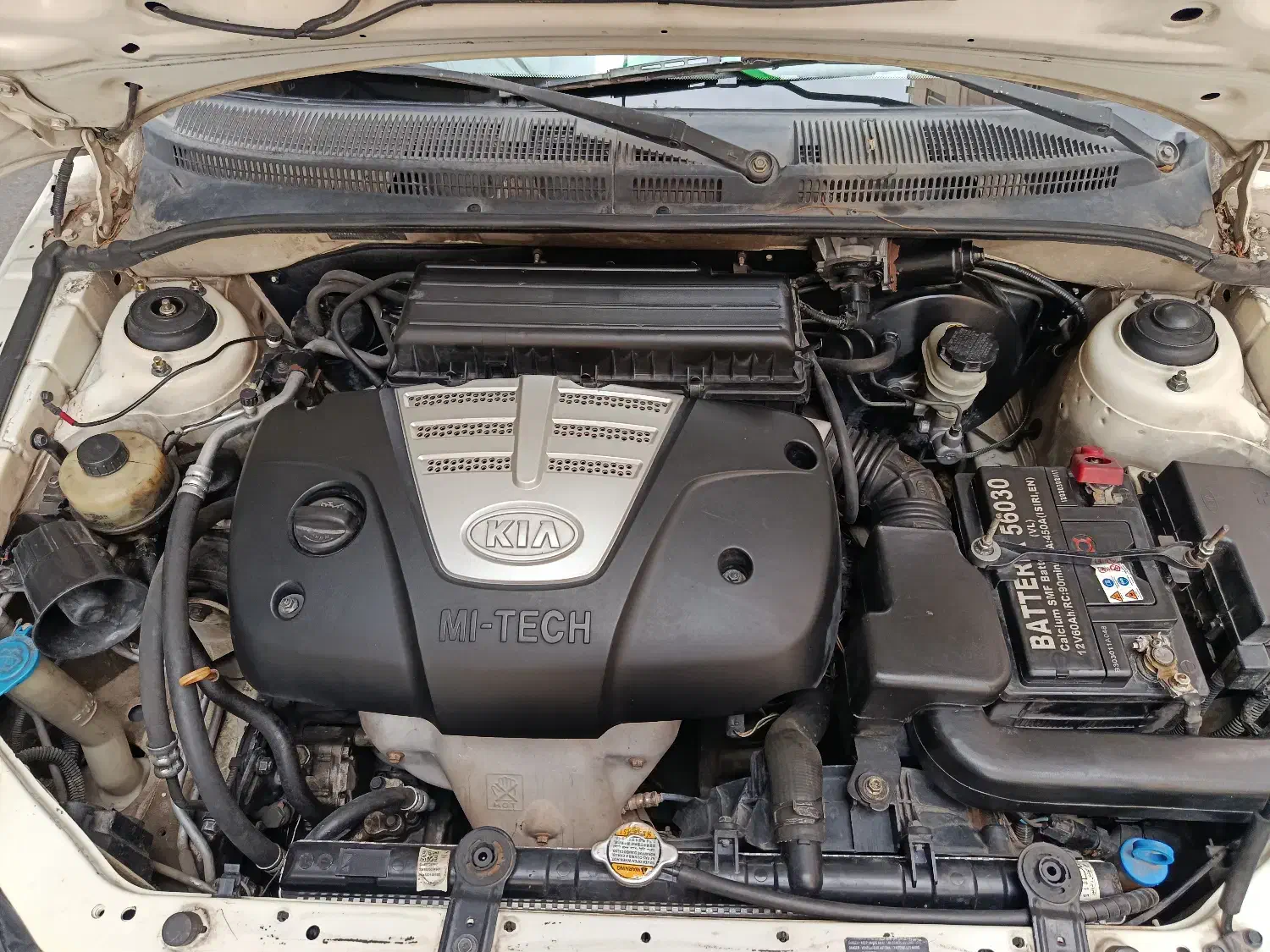 ریو تمیز فوری فروشی|خودرو سواری و وانت|تهران, کرمان|دیوار