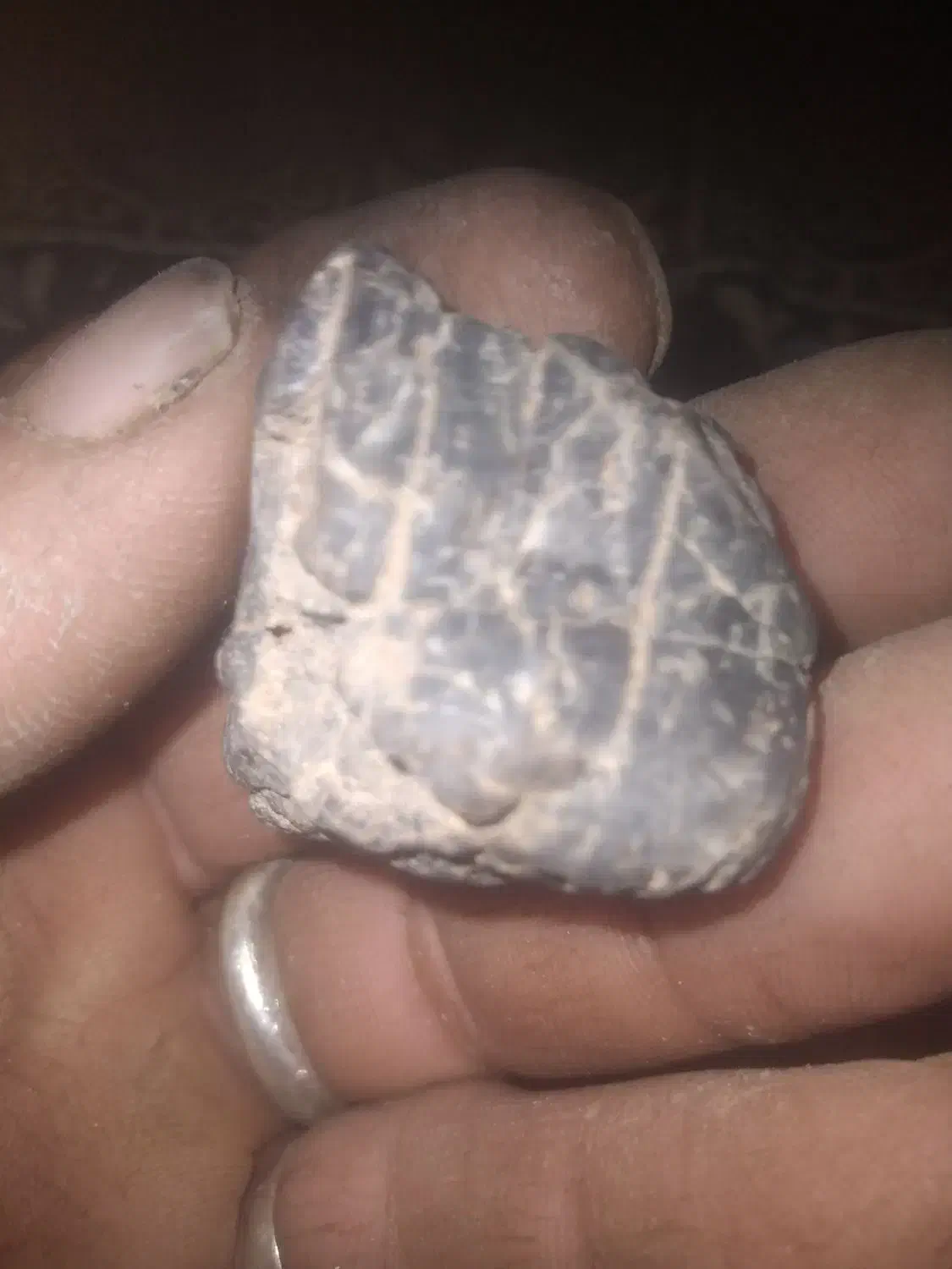 انواع سنگ قیمتی|کلکسیون اشیاء عتیقه|زنجان, |دیوار