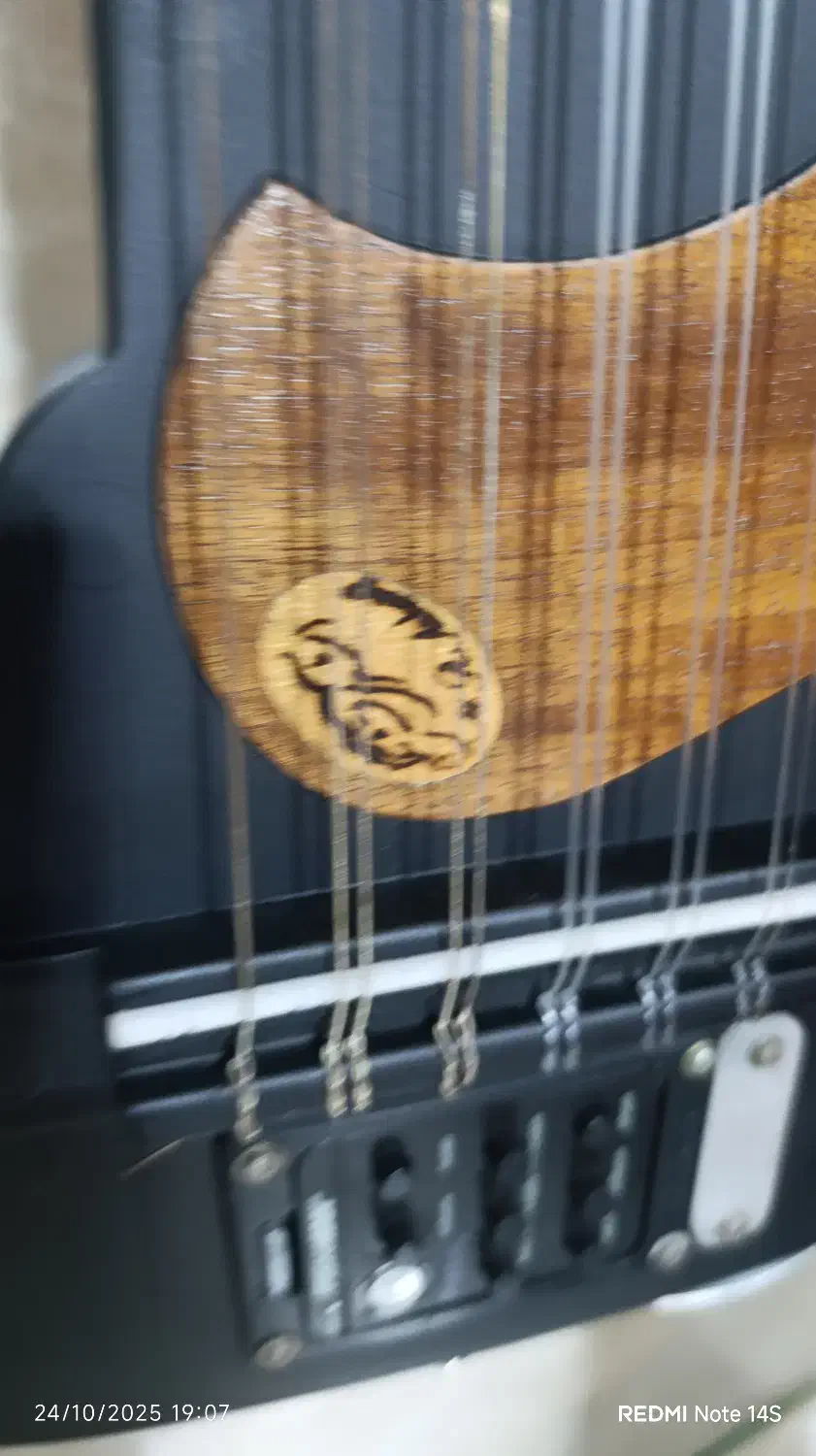 عود برقی|سازهای سنتی|بندرعباس, |دیوار