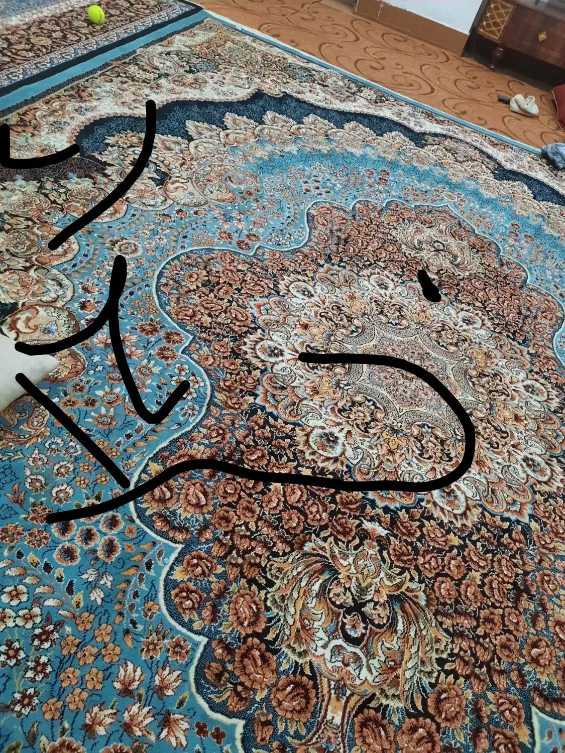 باعرض سلام جفت این|فرش|اردل, |دیوار